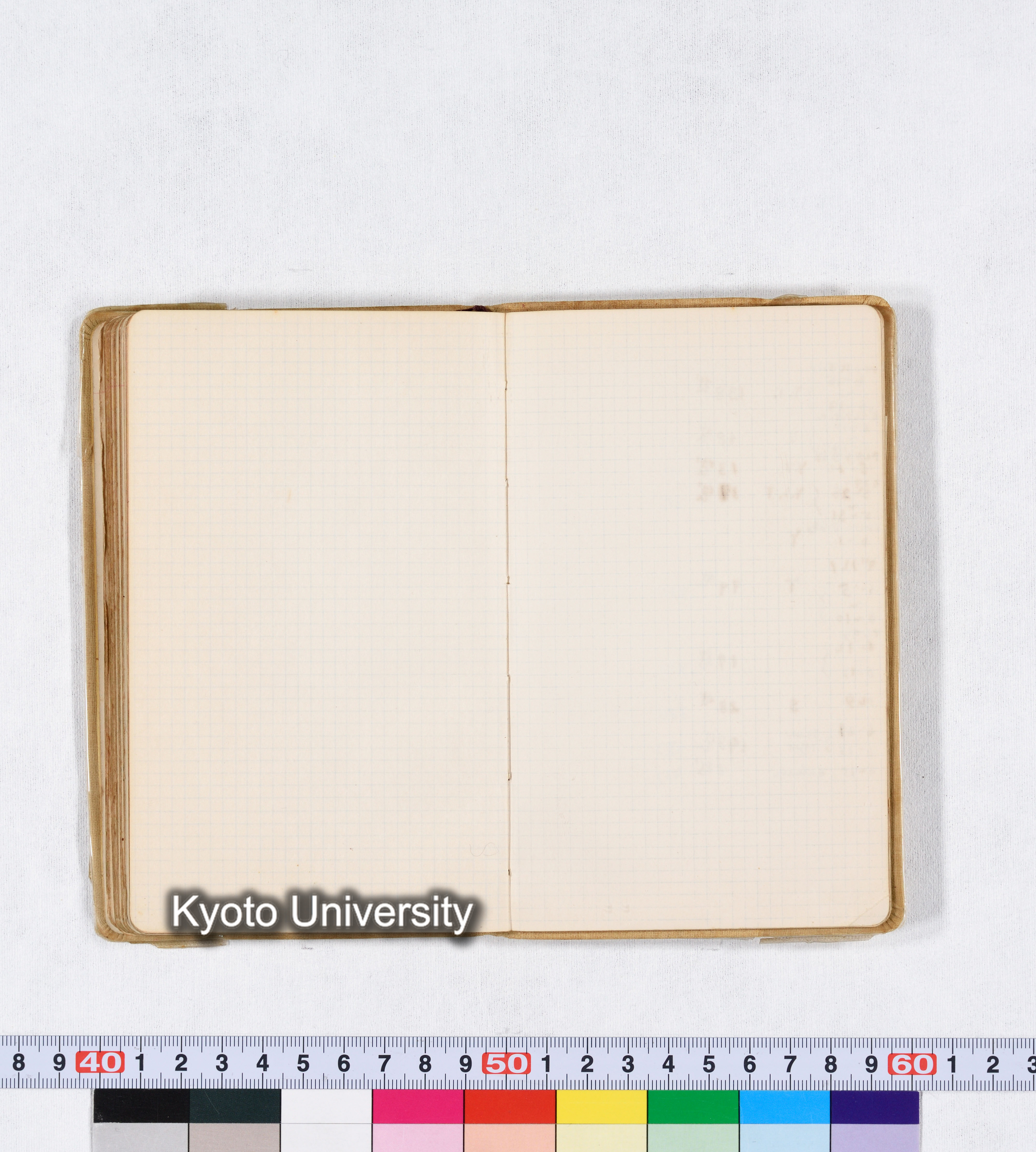 採集 II 1959 BMUK (84)