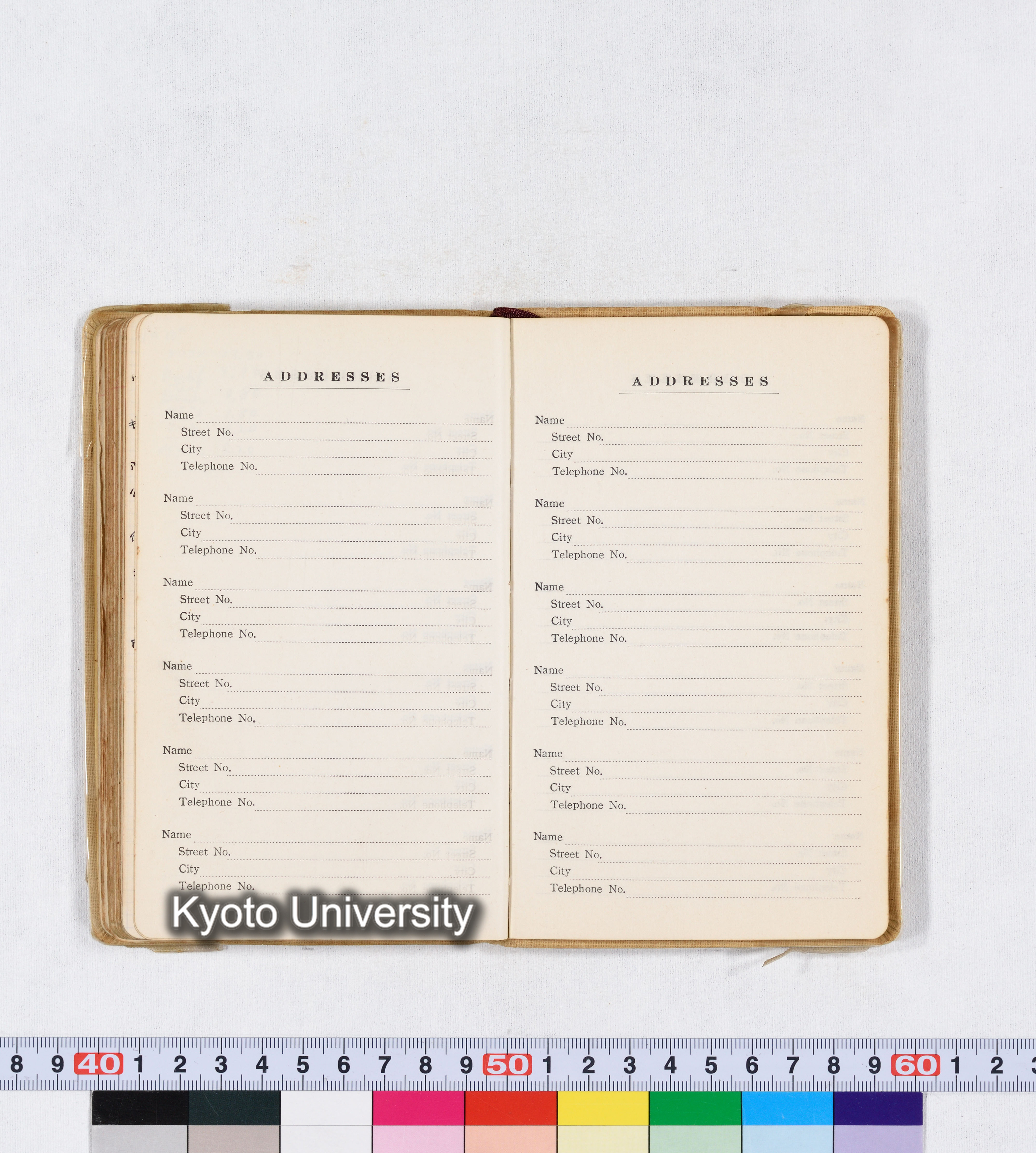 採集 II 1959 BMUK (86)