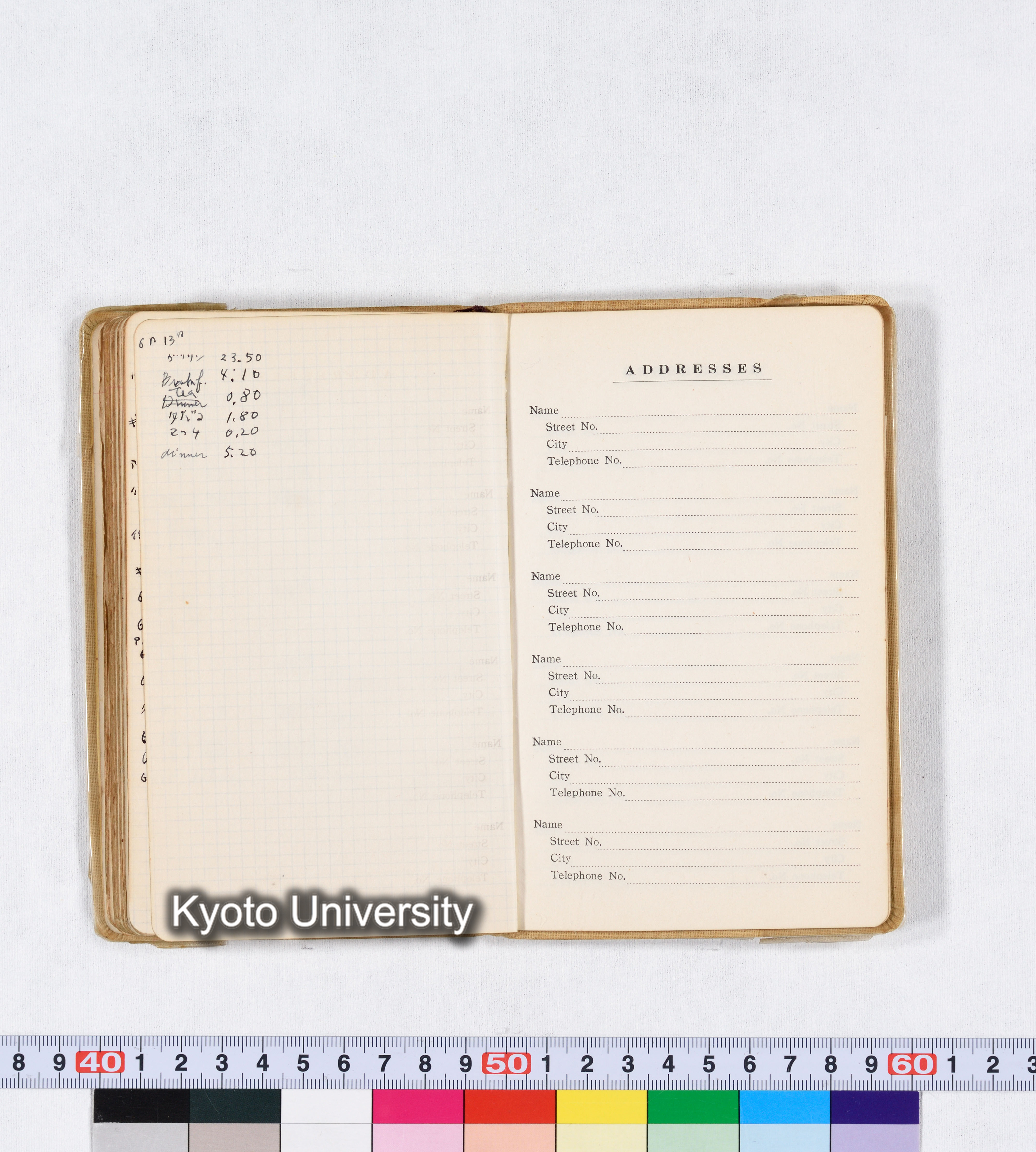 採集 II 1959 BMUK (87)