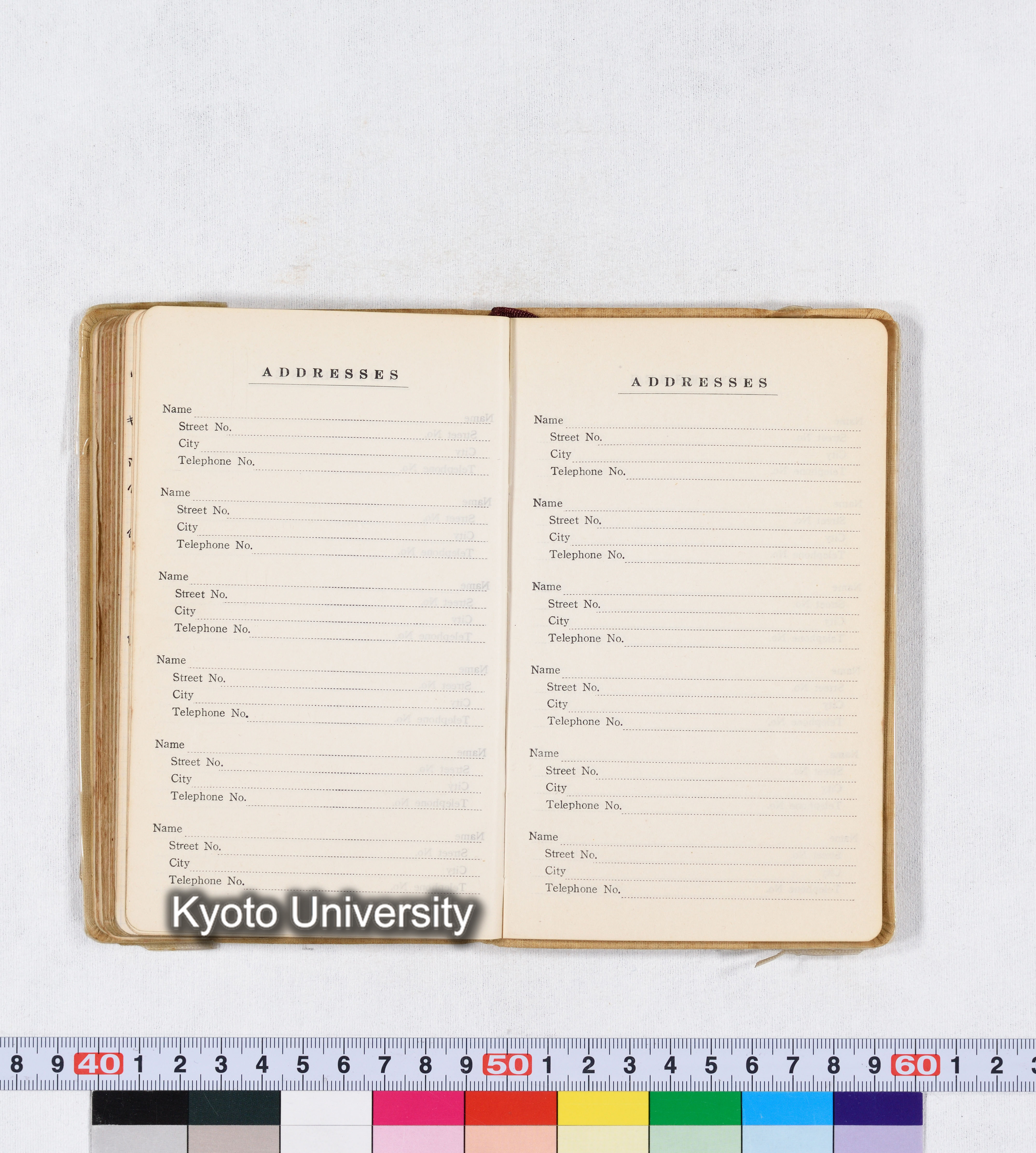 採集 II 1959 BMUK (88)