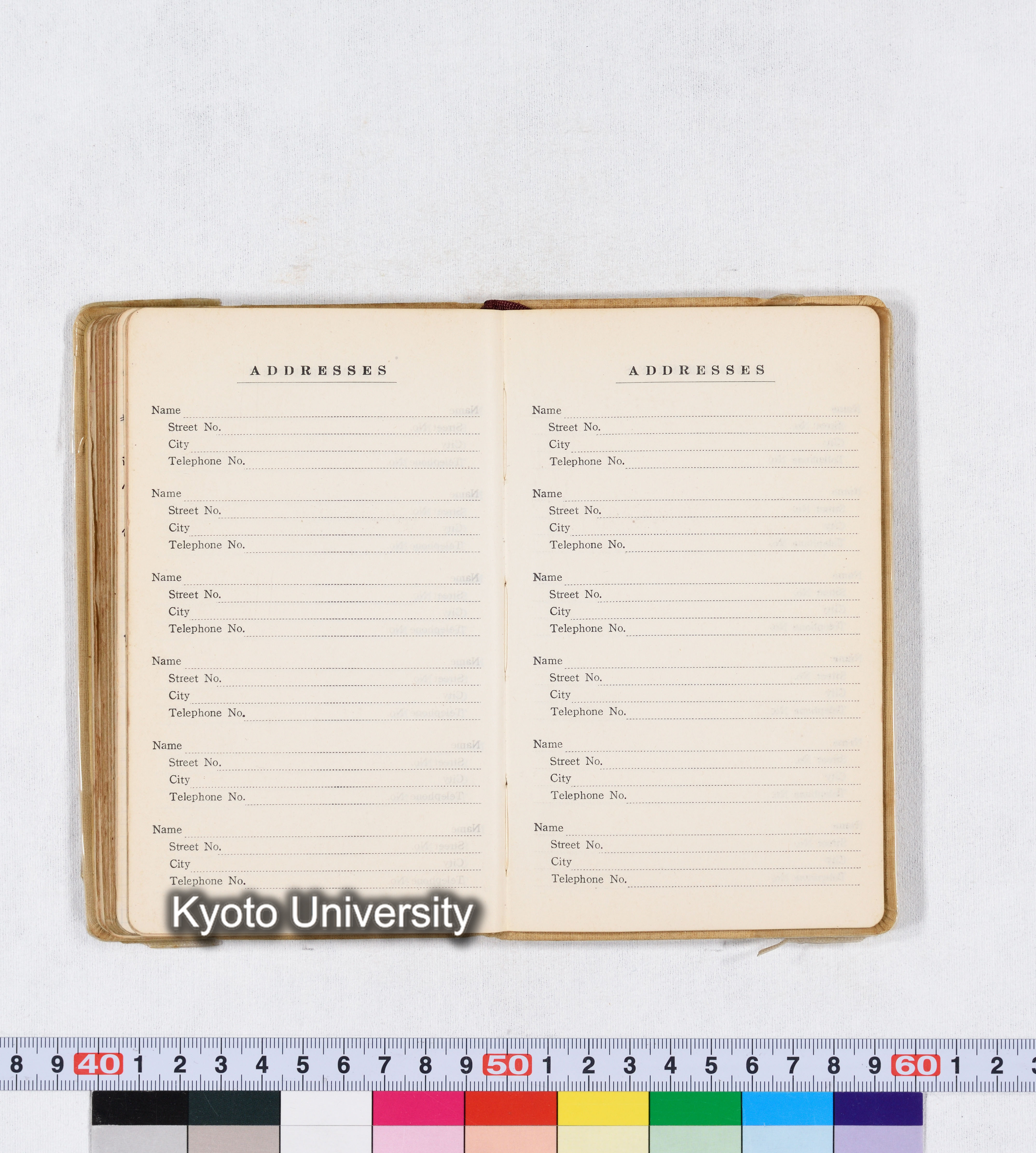 採集 II 1959 BMUK (89)