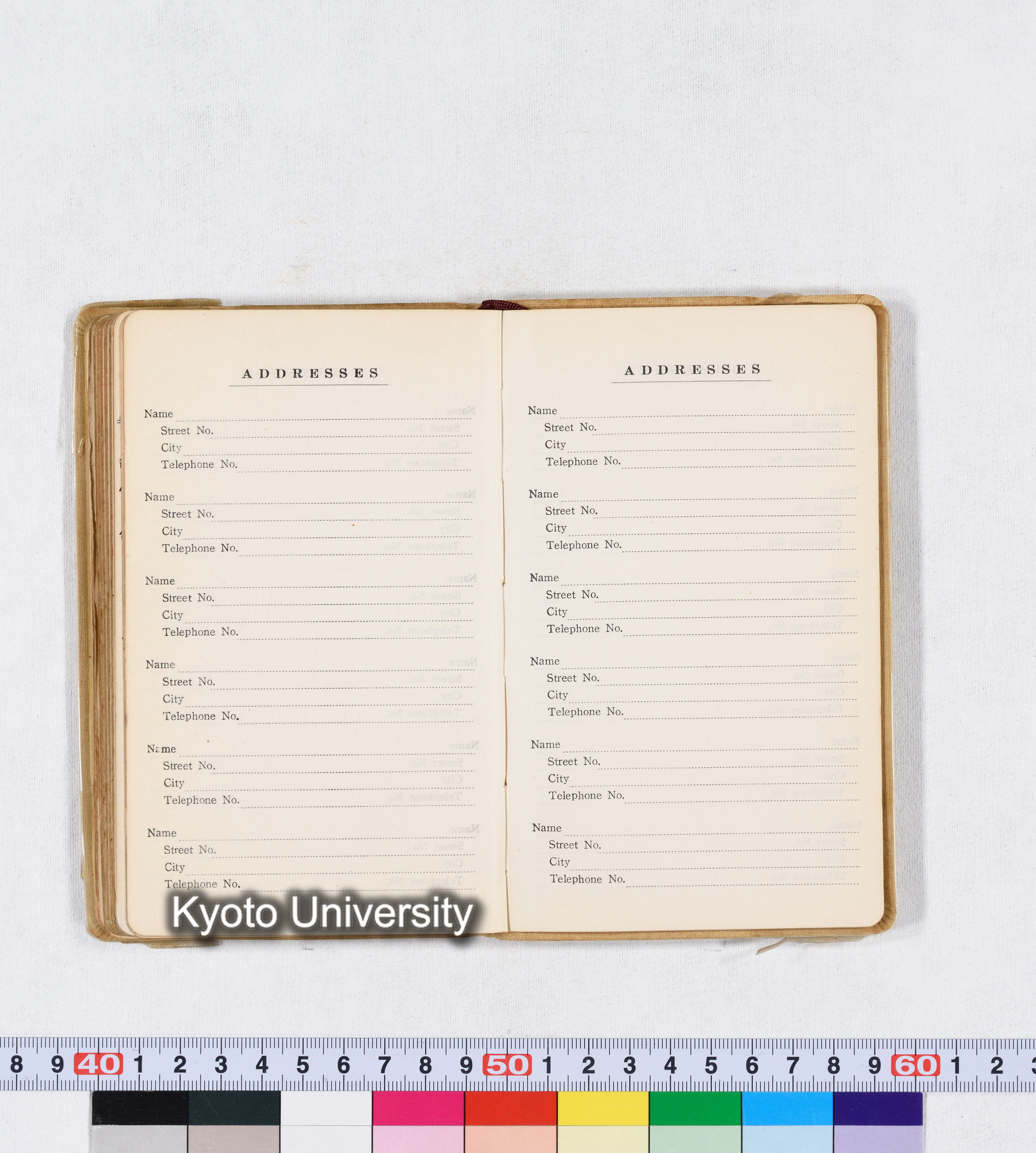 採集 II 1959 BMUK (90)