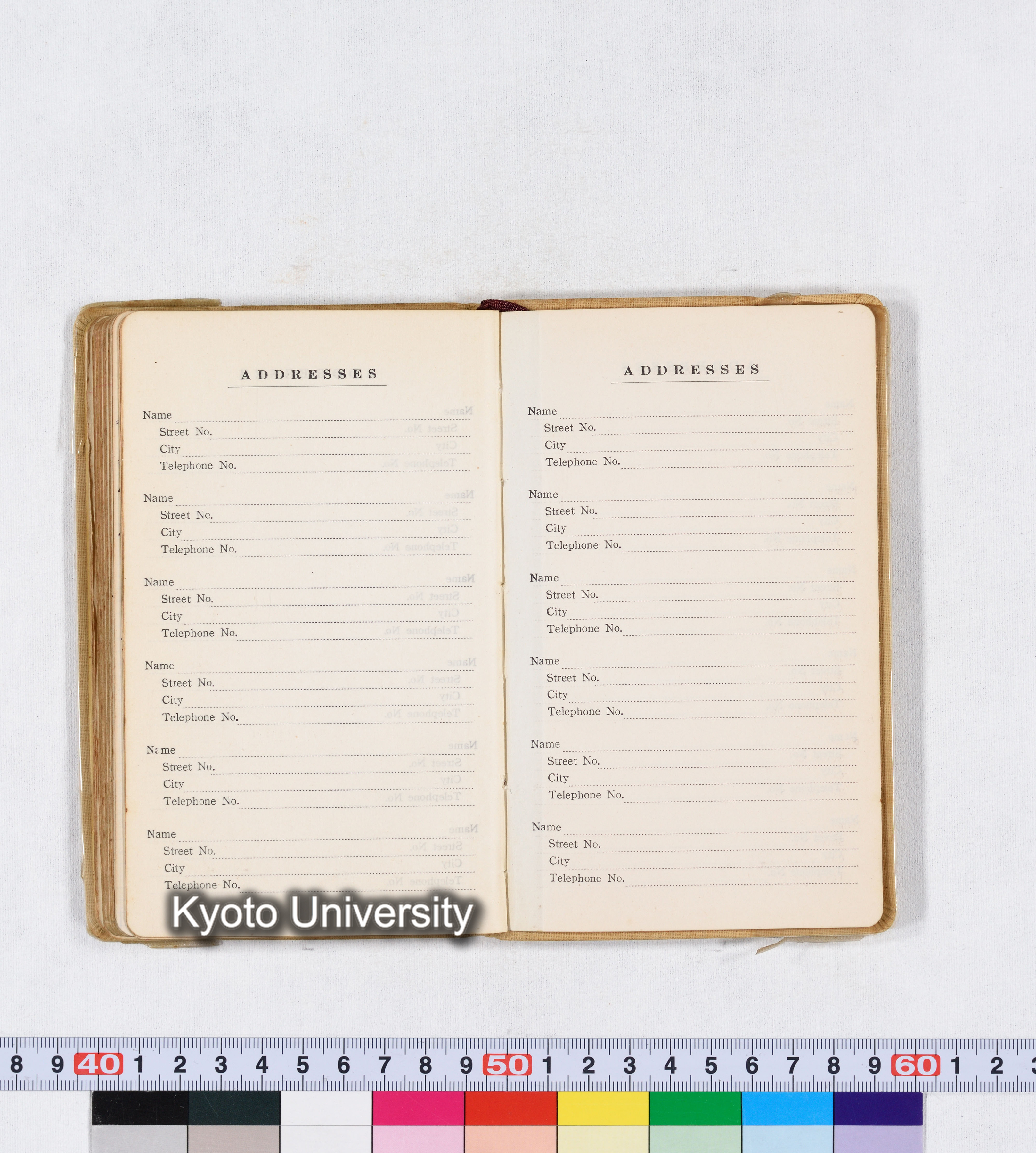 採集 II 1959 BMUK (91)