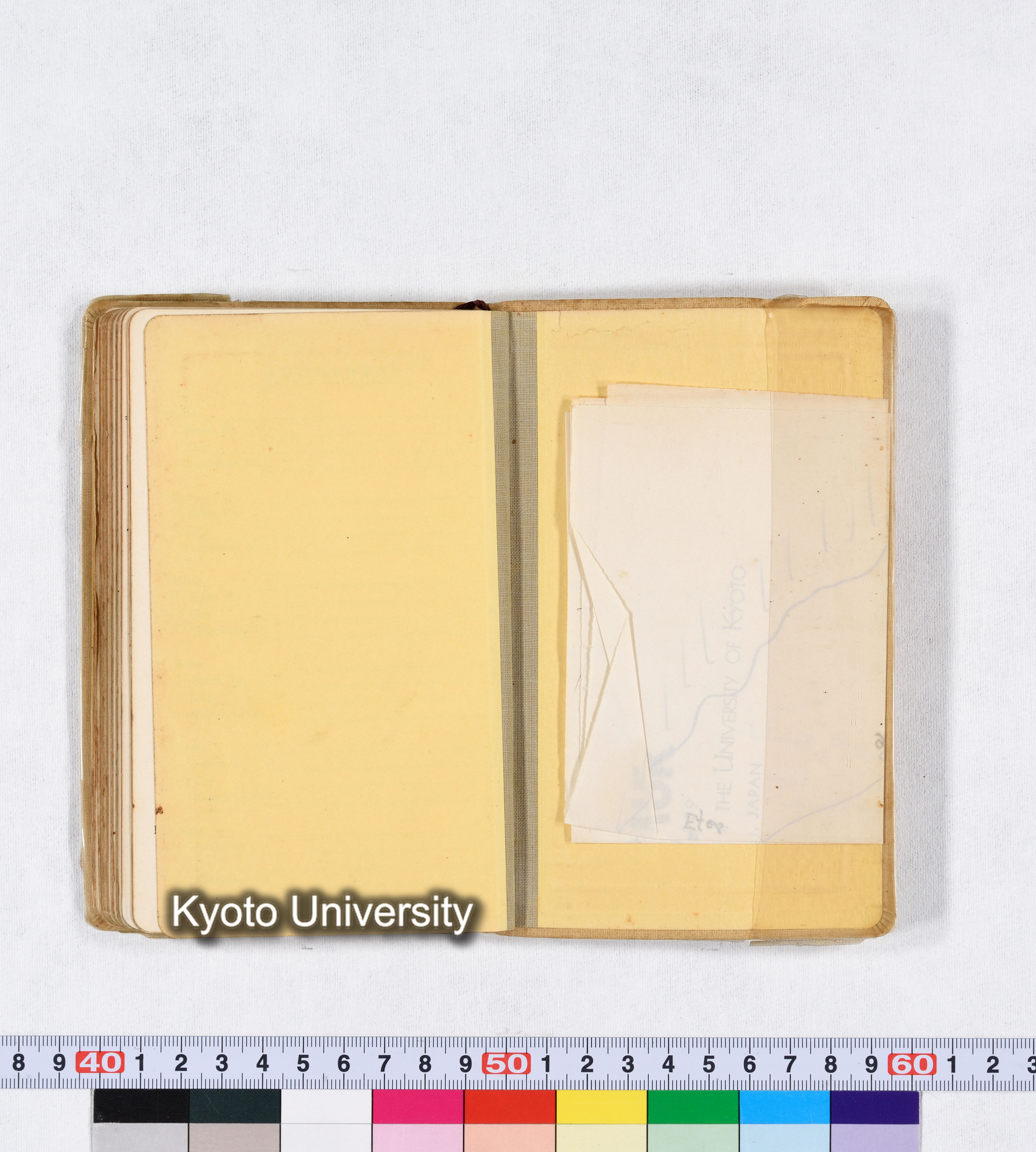 採集 II 1959 BMUK (92)