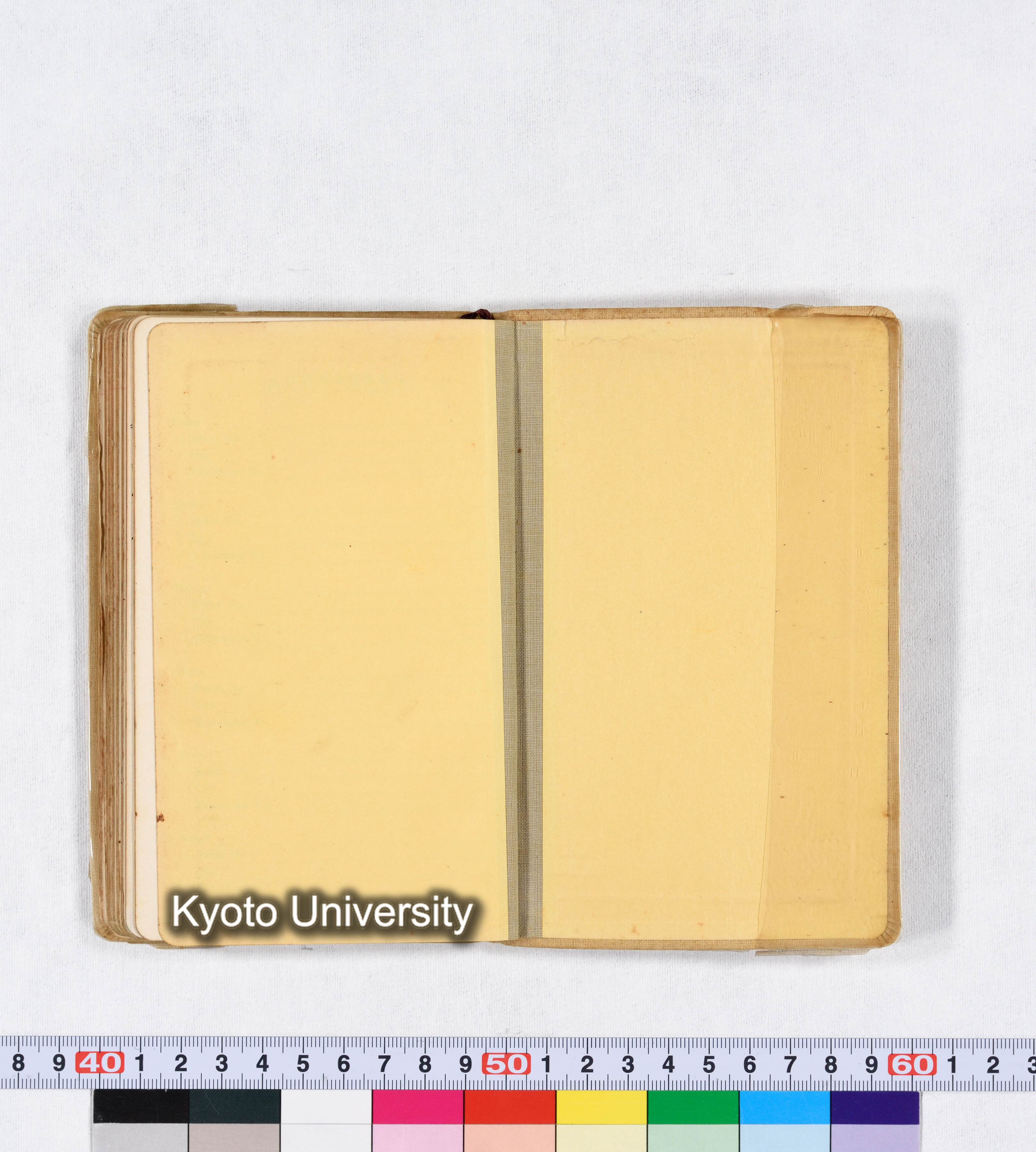 採集 II 1959 BMUK (93)