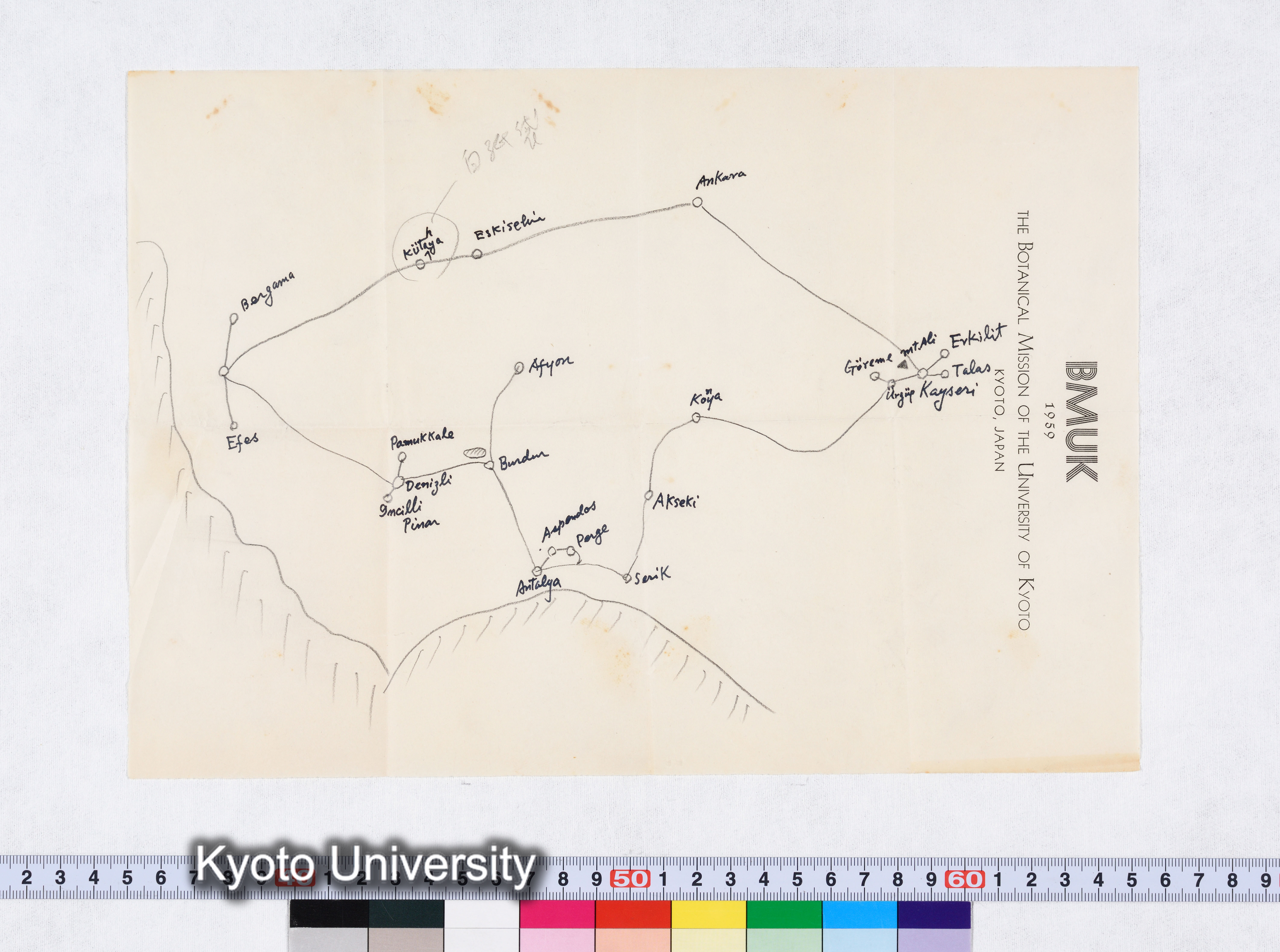 採集 II 1959 BMUK (94)