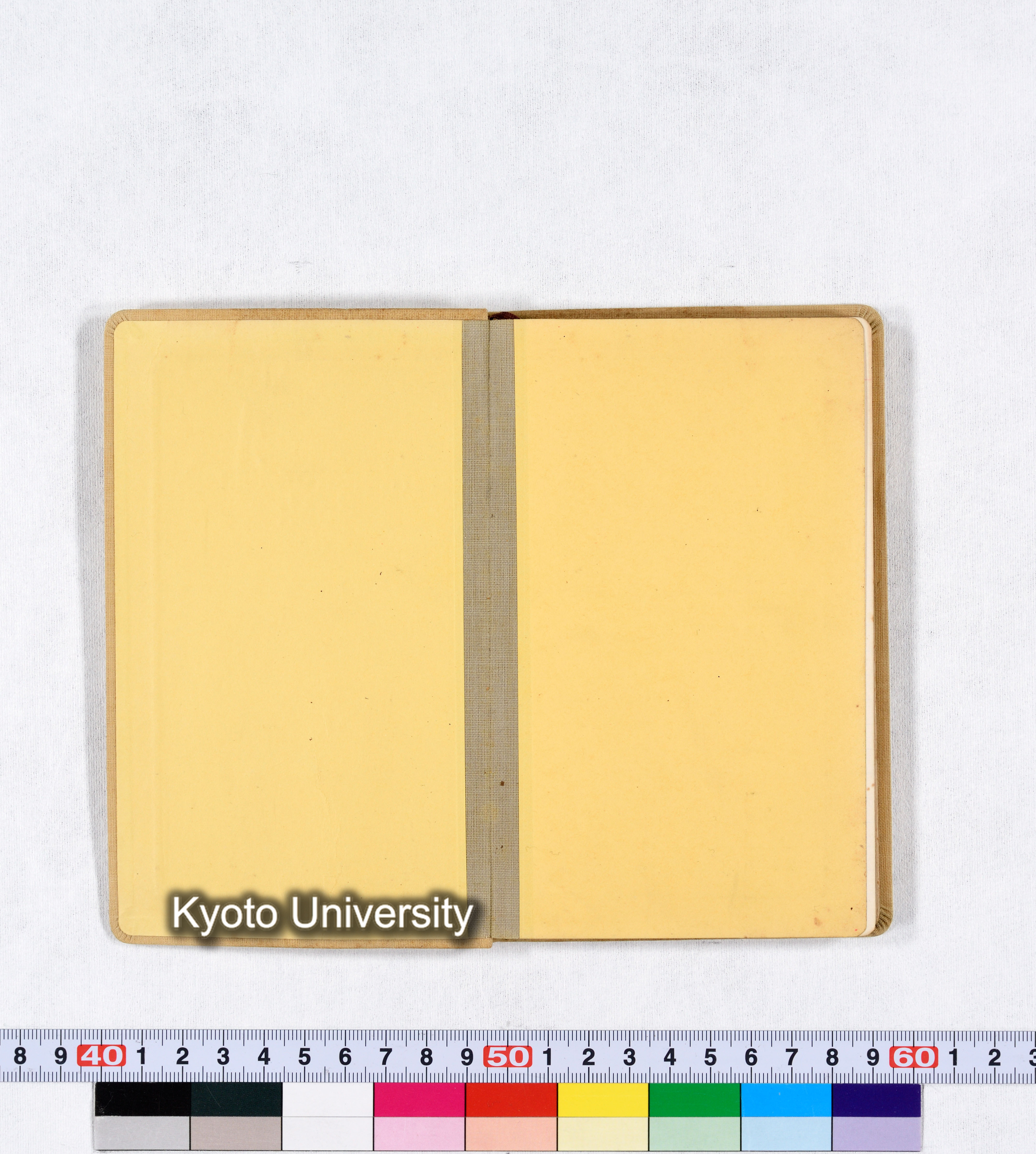 採集 BMUK III 1959 (3)