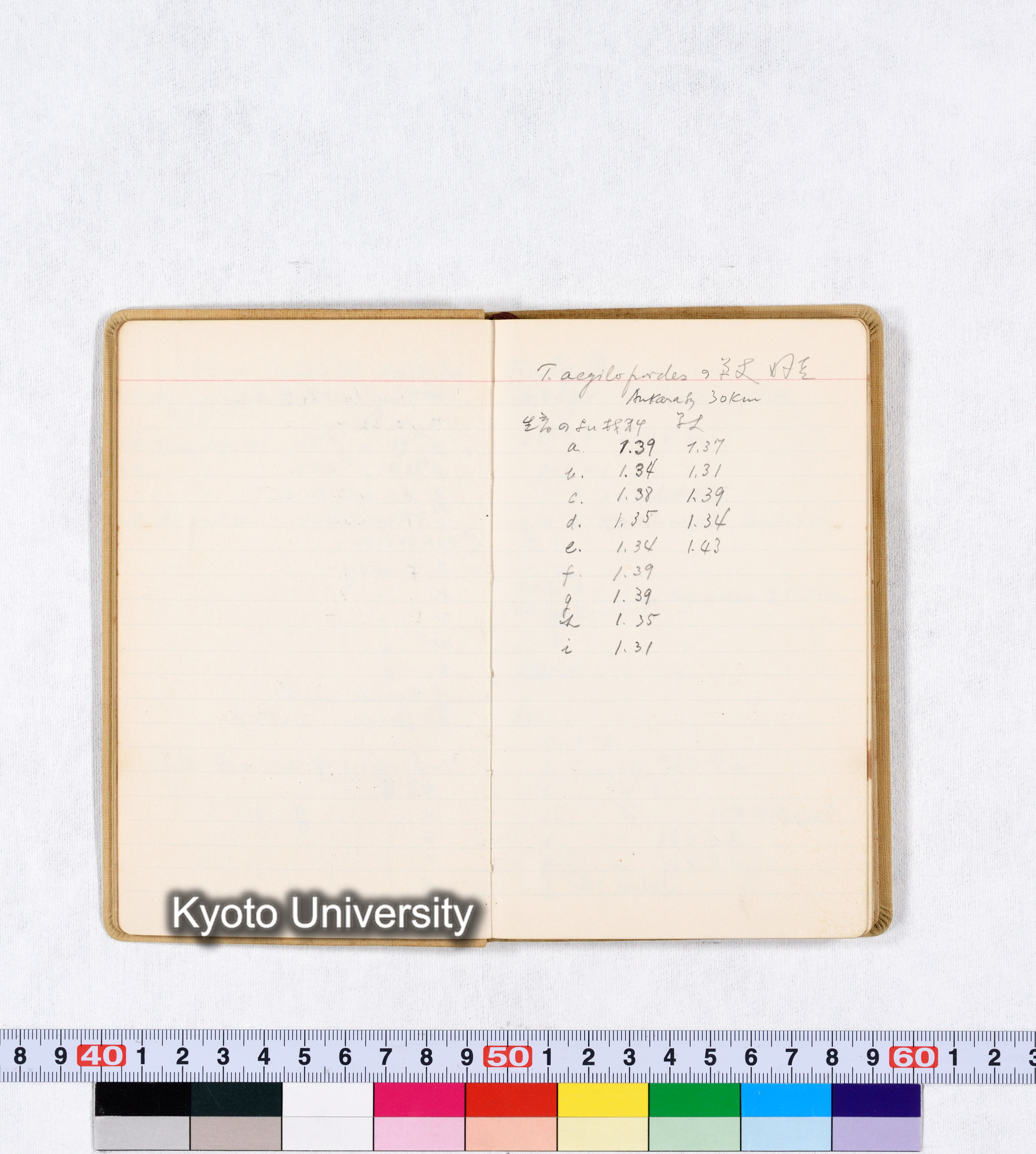 採集 BMUK III 1959 (11)