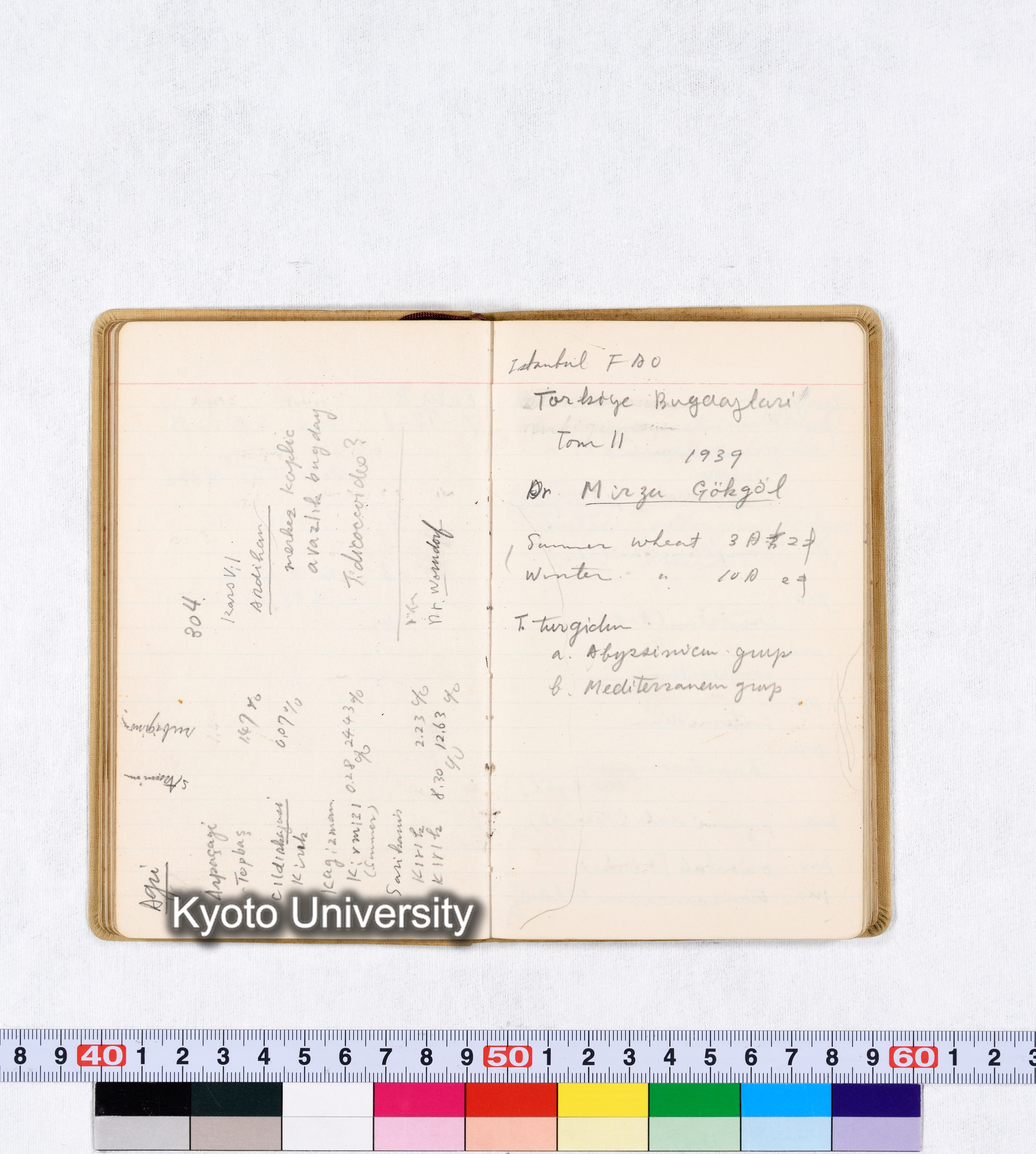 採集 BMUK III 1959 (33)