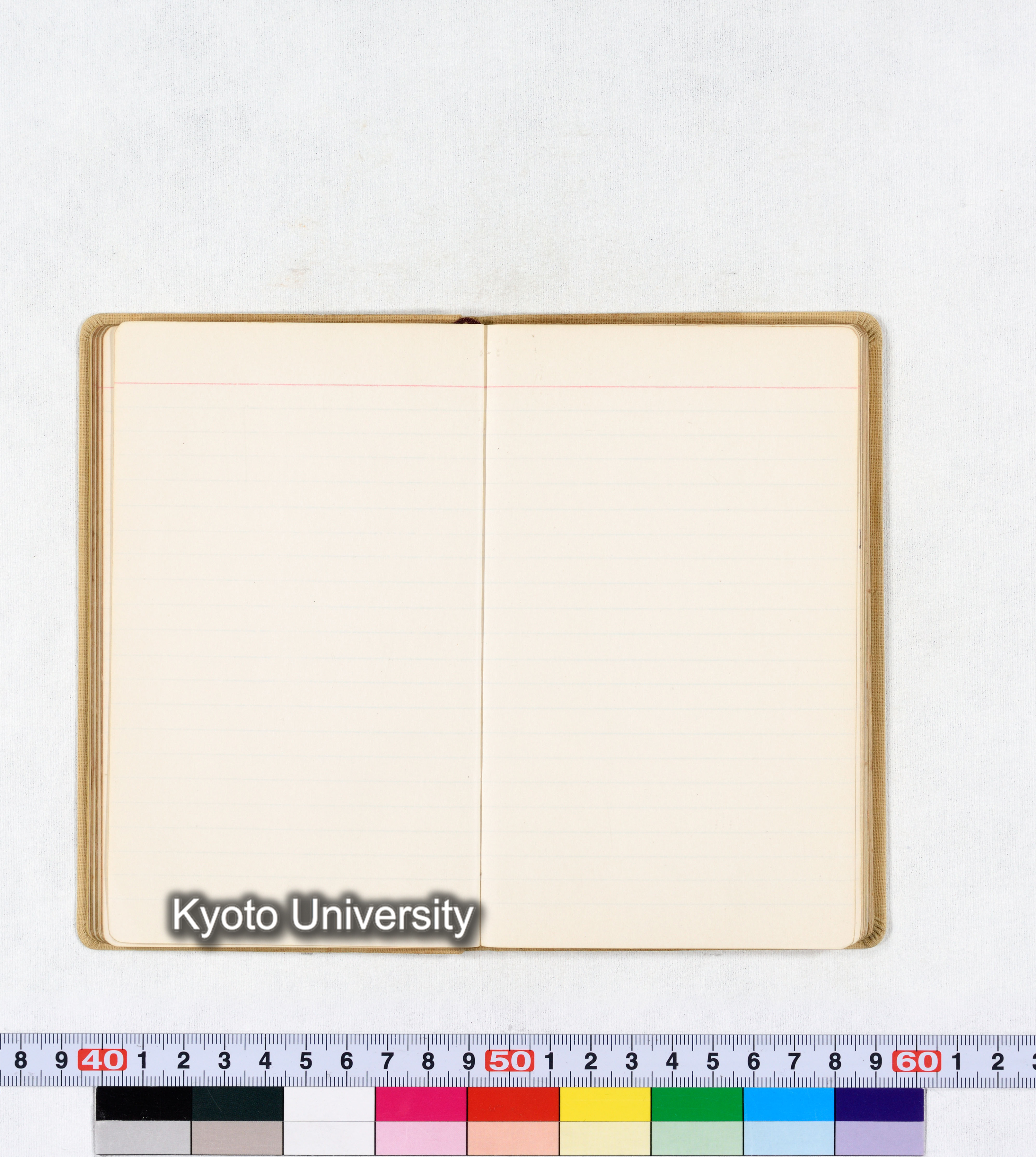 採集 BMUK III 1959 (37)