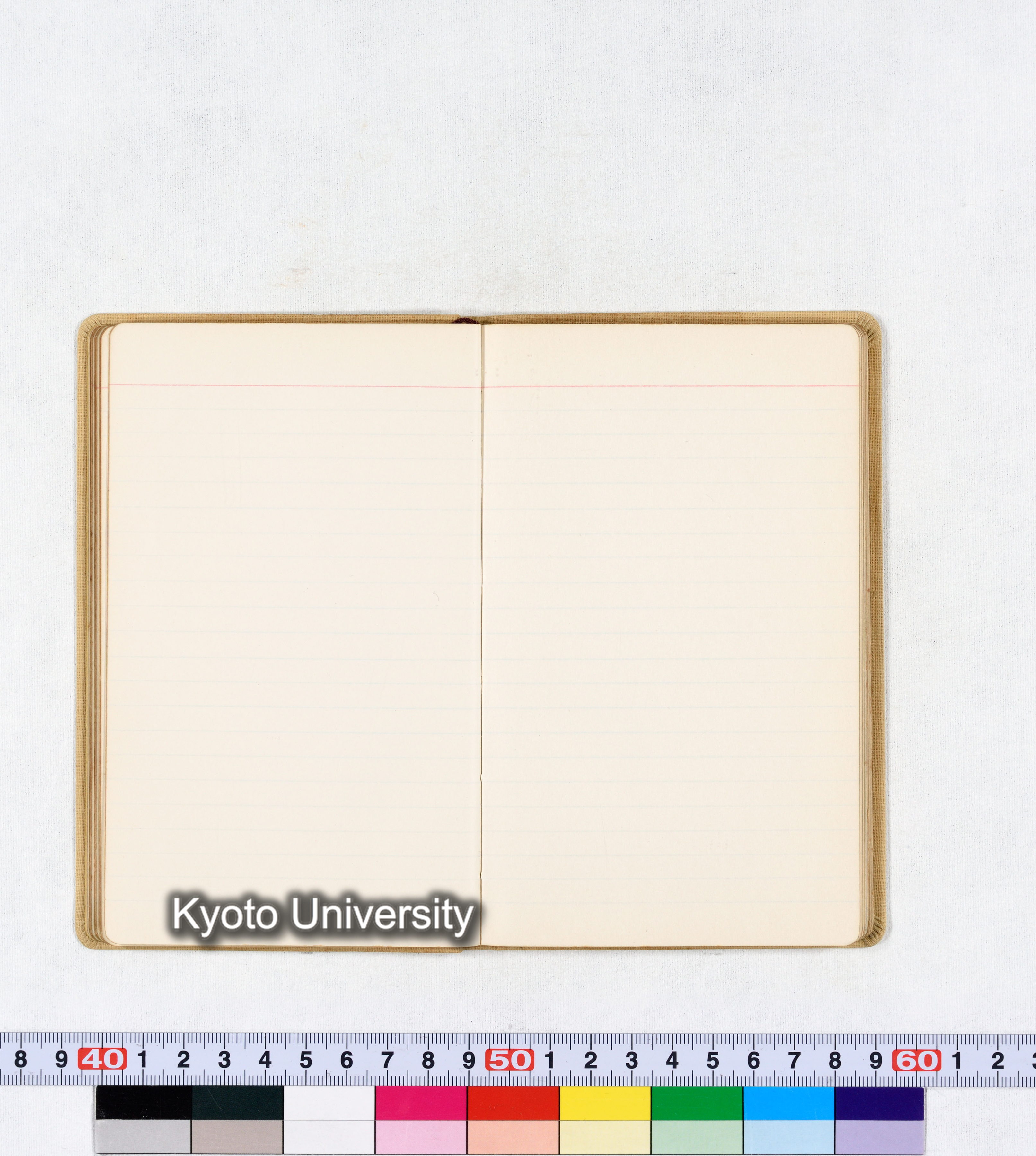 採集 BMUK III 1959 (38)