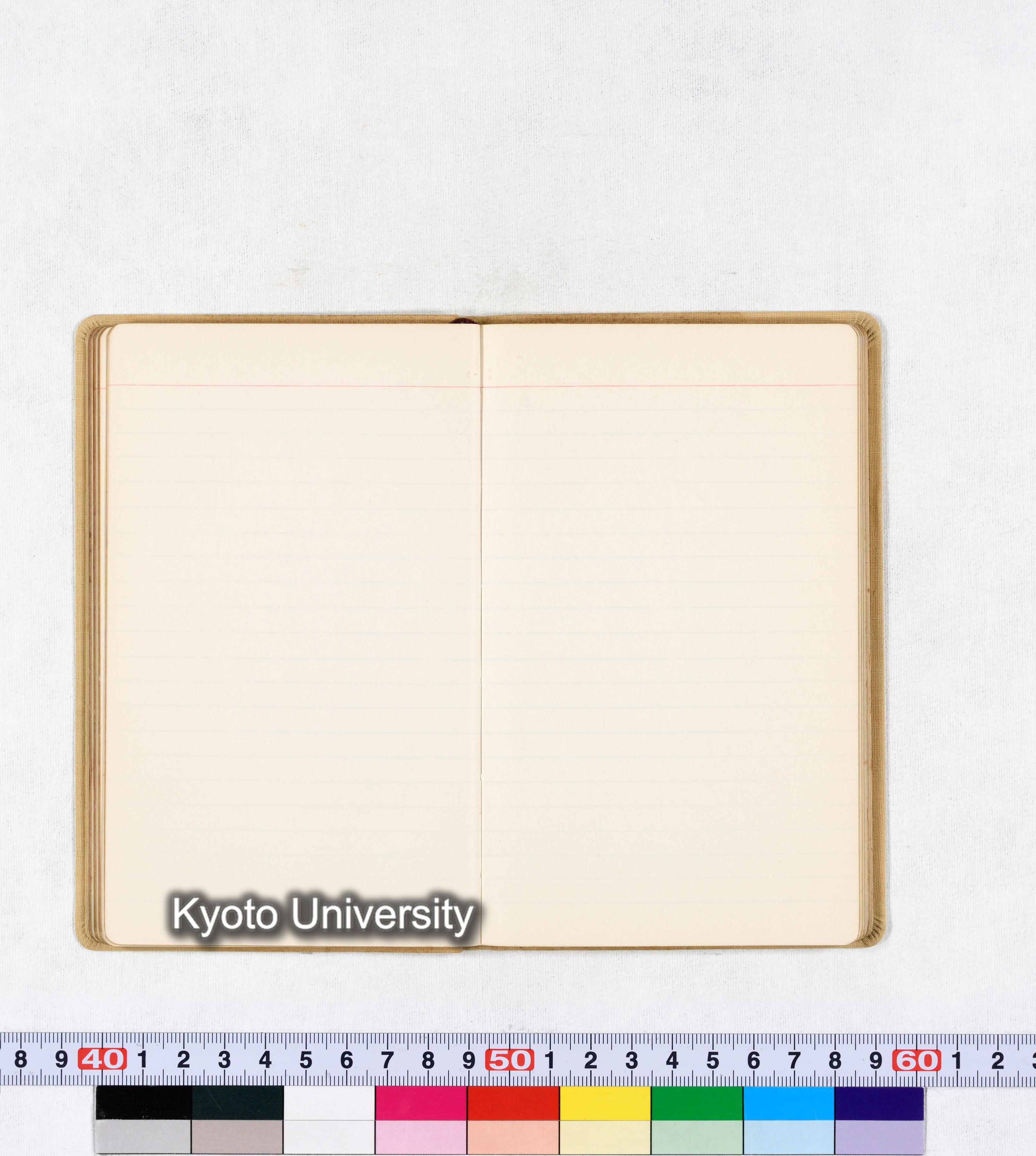 採集 BMUK III 1959 (39)