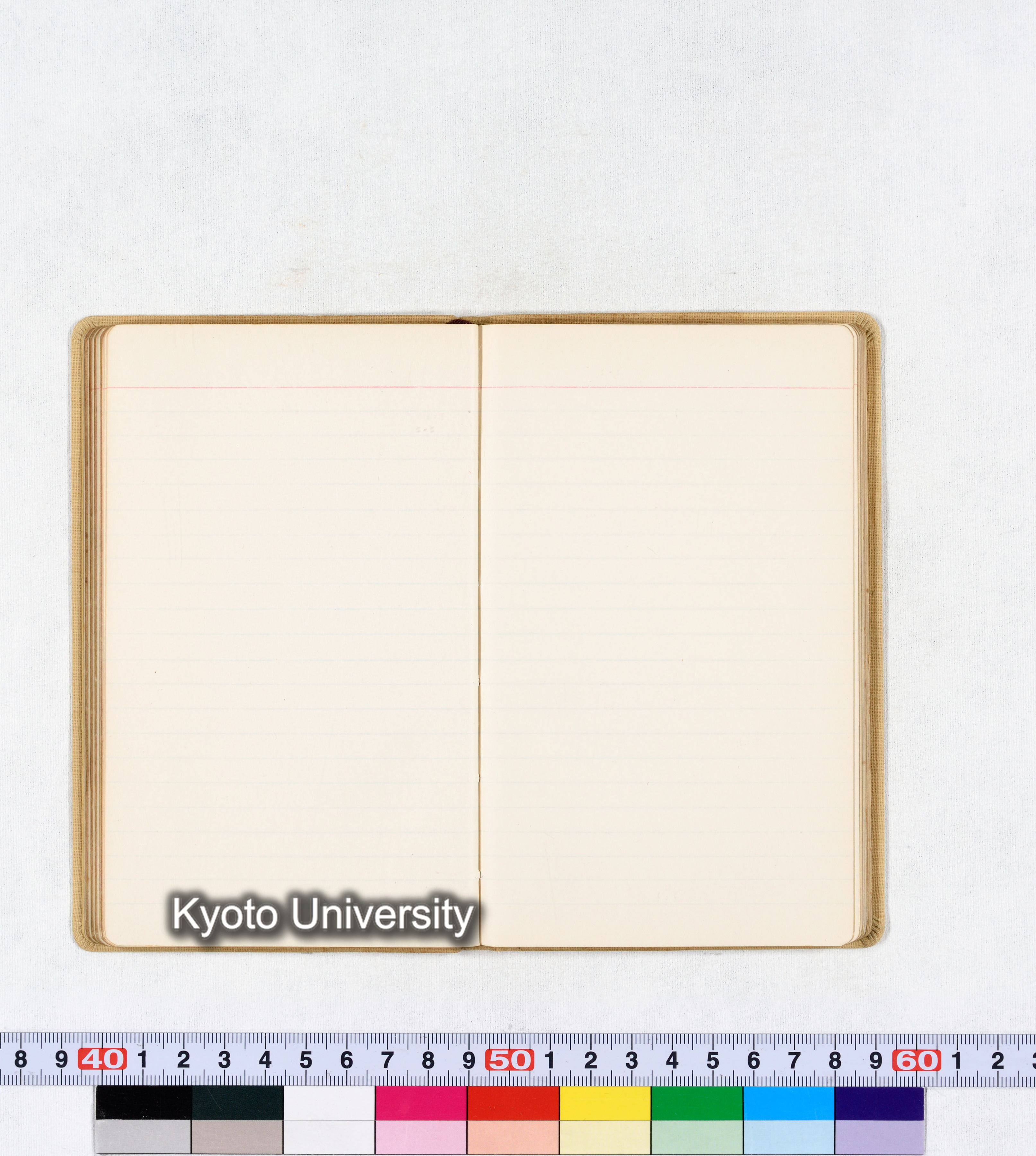 採集 BMUK III 1959 (48)