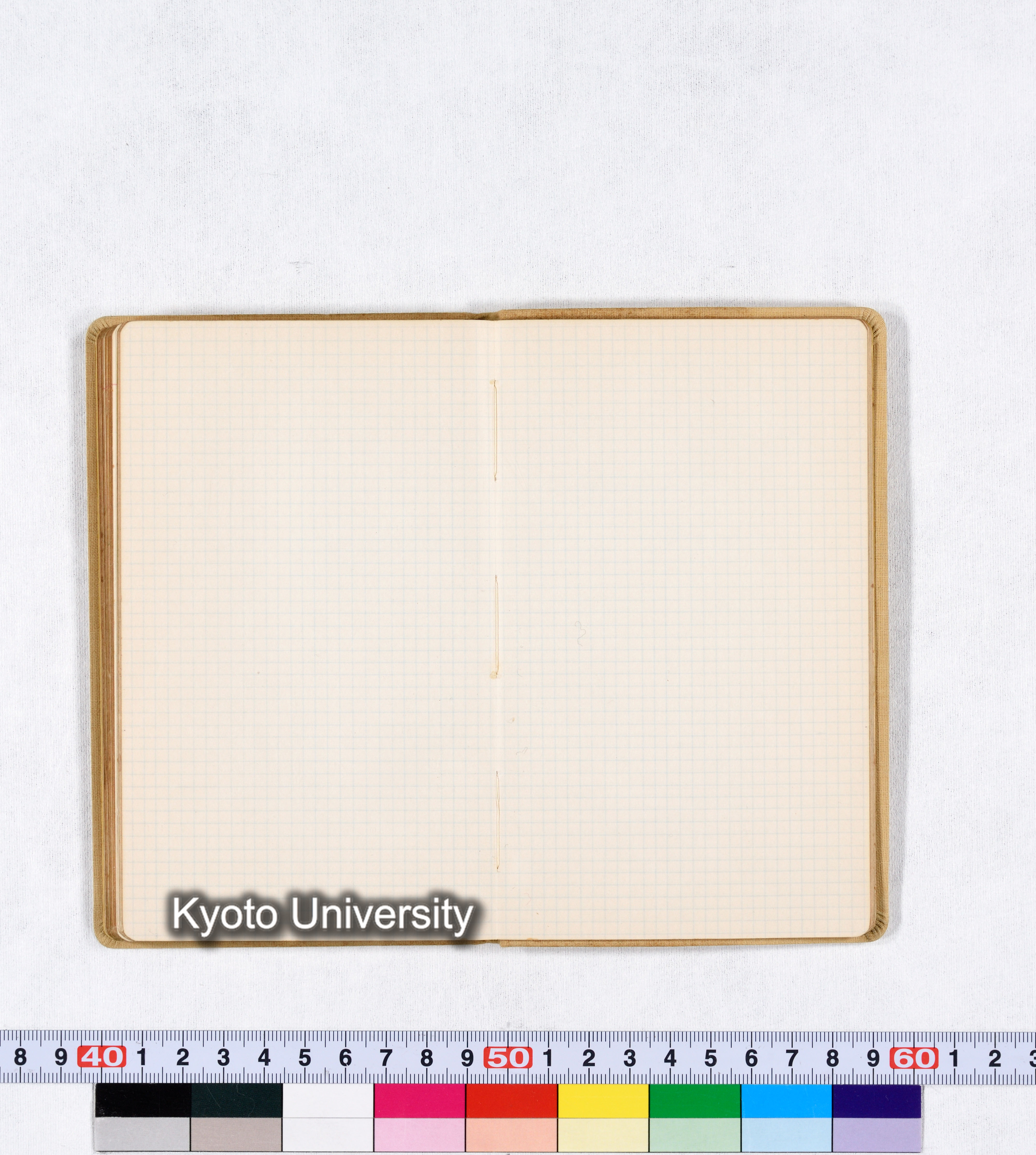 採集 BMUK III 1959 (61)