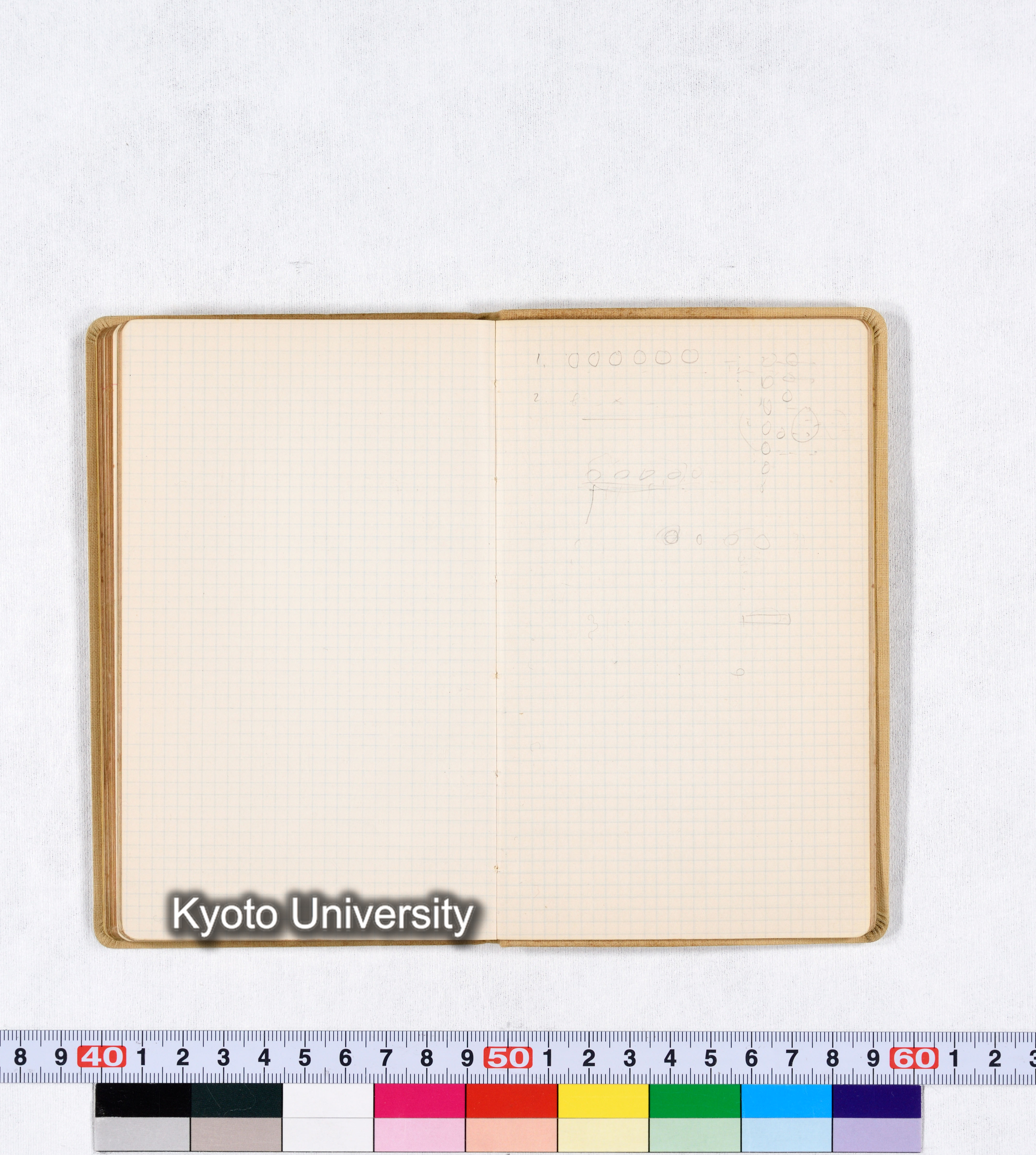 採集 BMUK III 1959 (62)