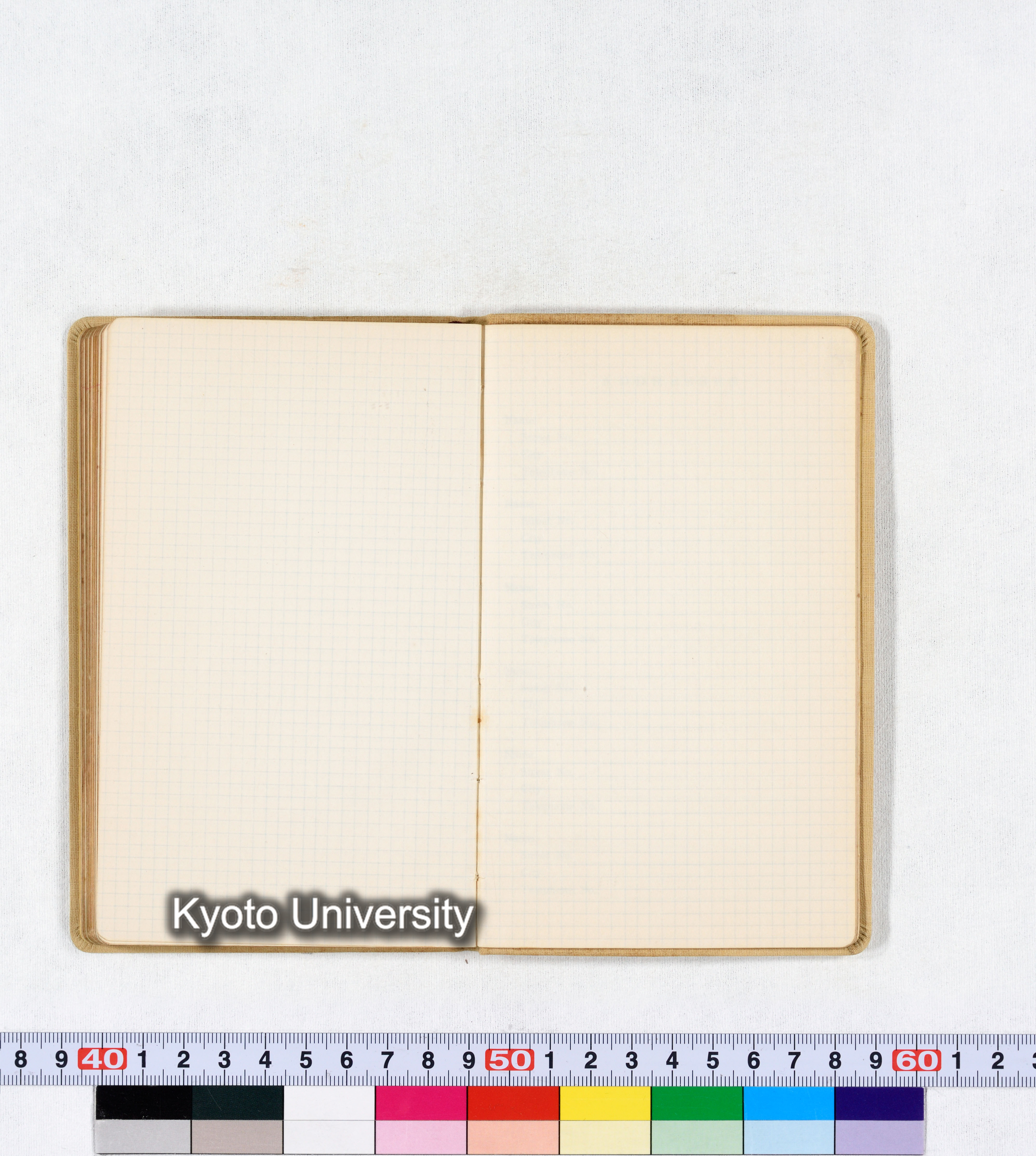 採集 BMUK III 1959 (67)