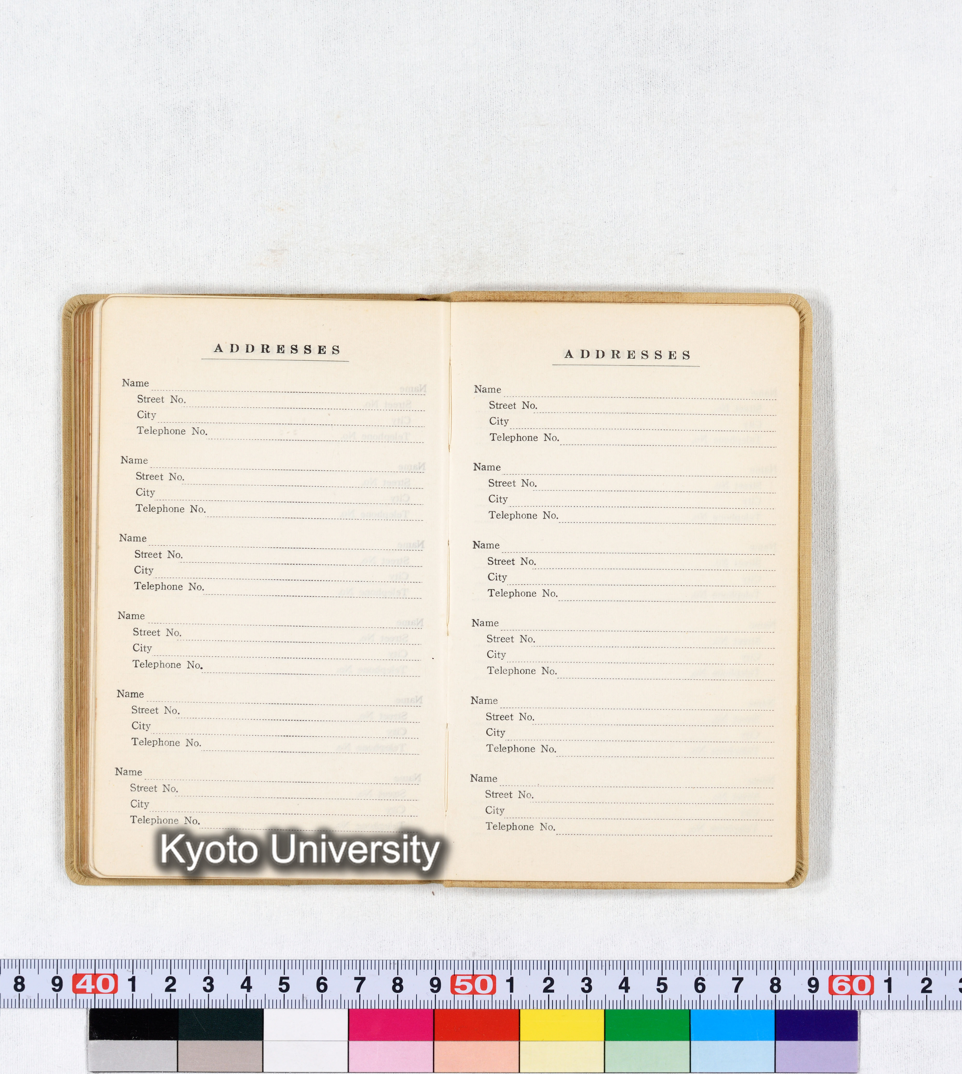 採集 BMUK III 1959 (71)