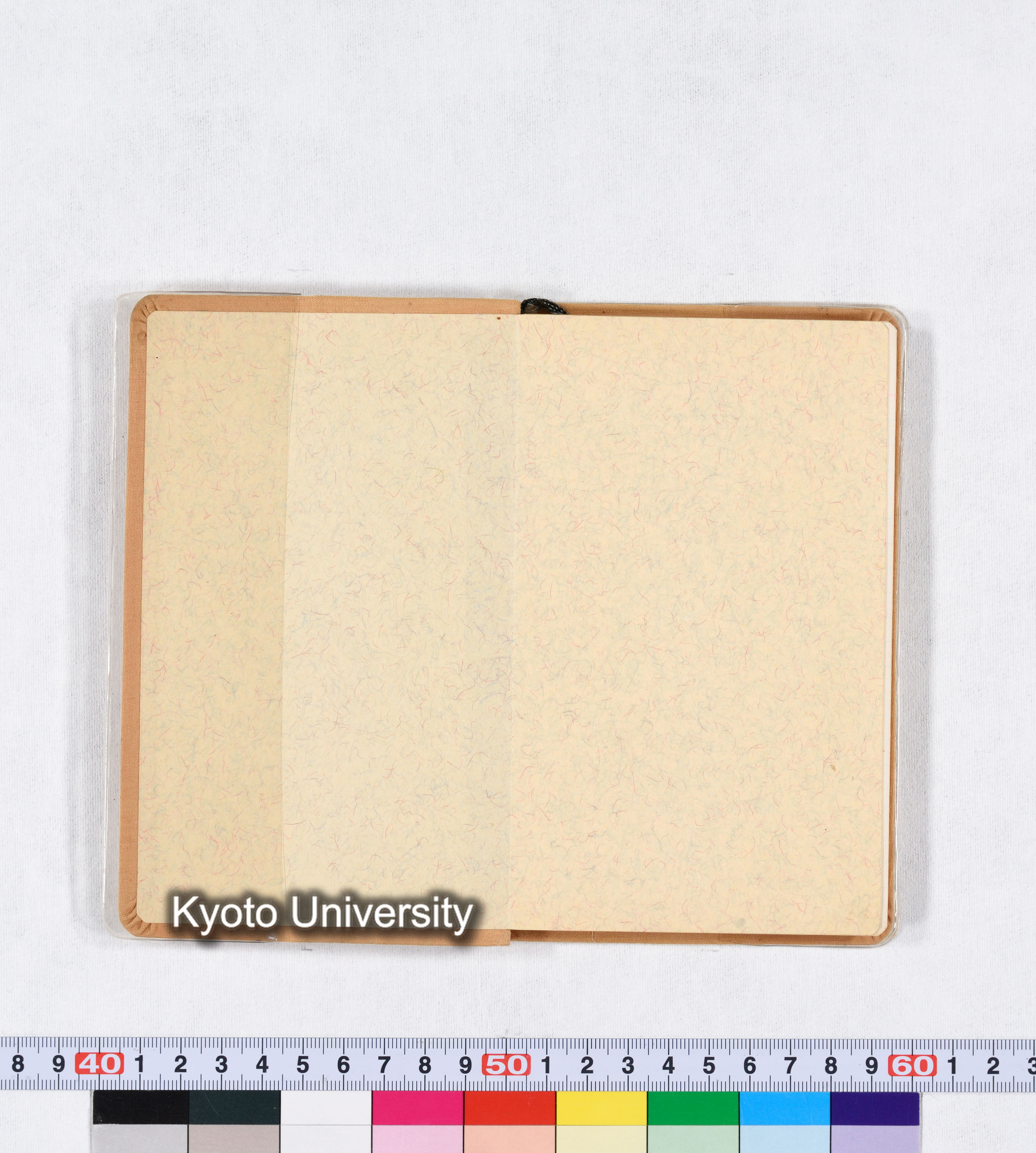 採集記録 Collection Records ECPA 1971 (2)