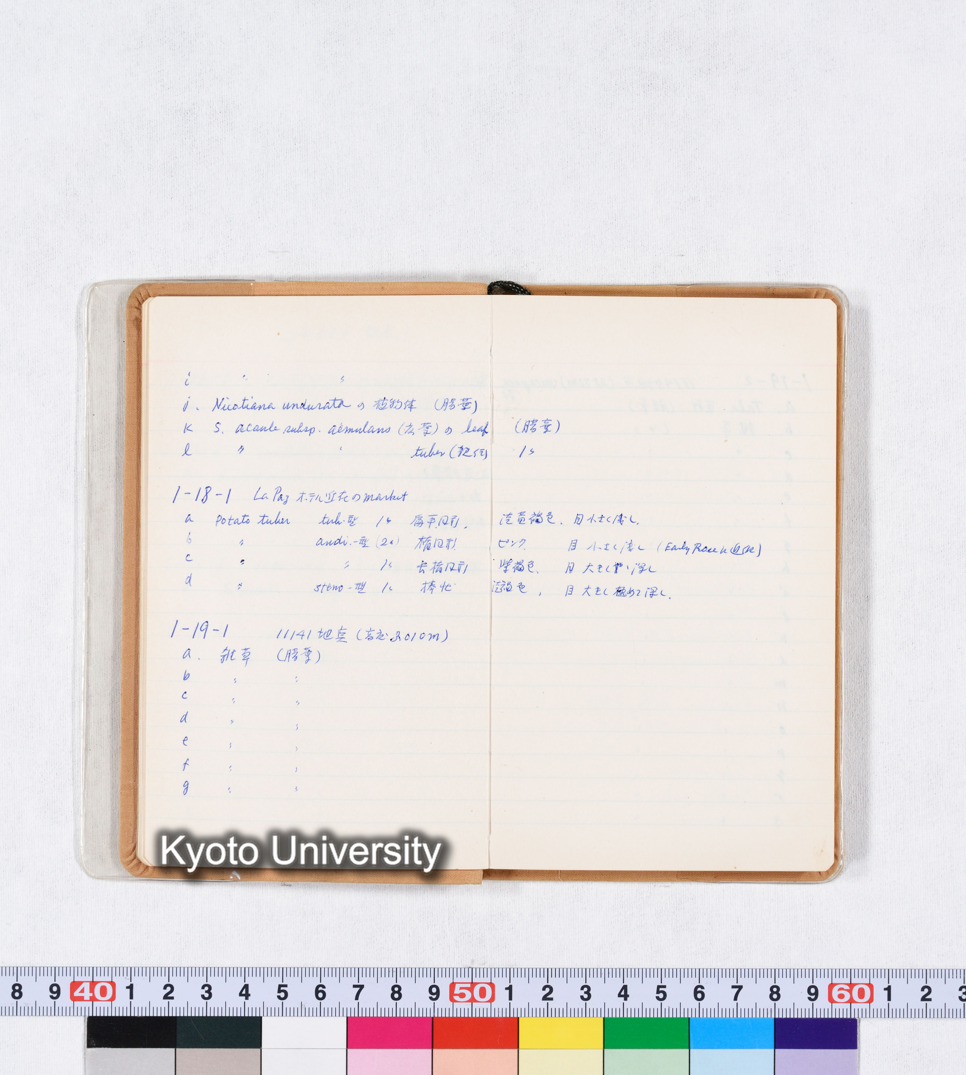 採集記録 Collection Records ECPA 1971 (7)