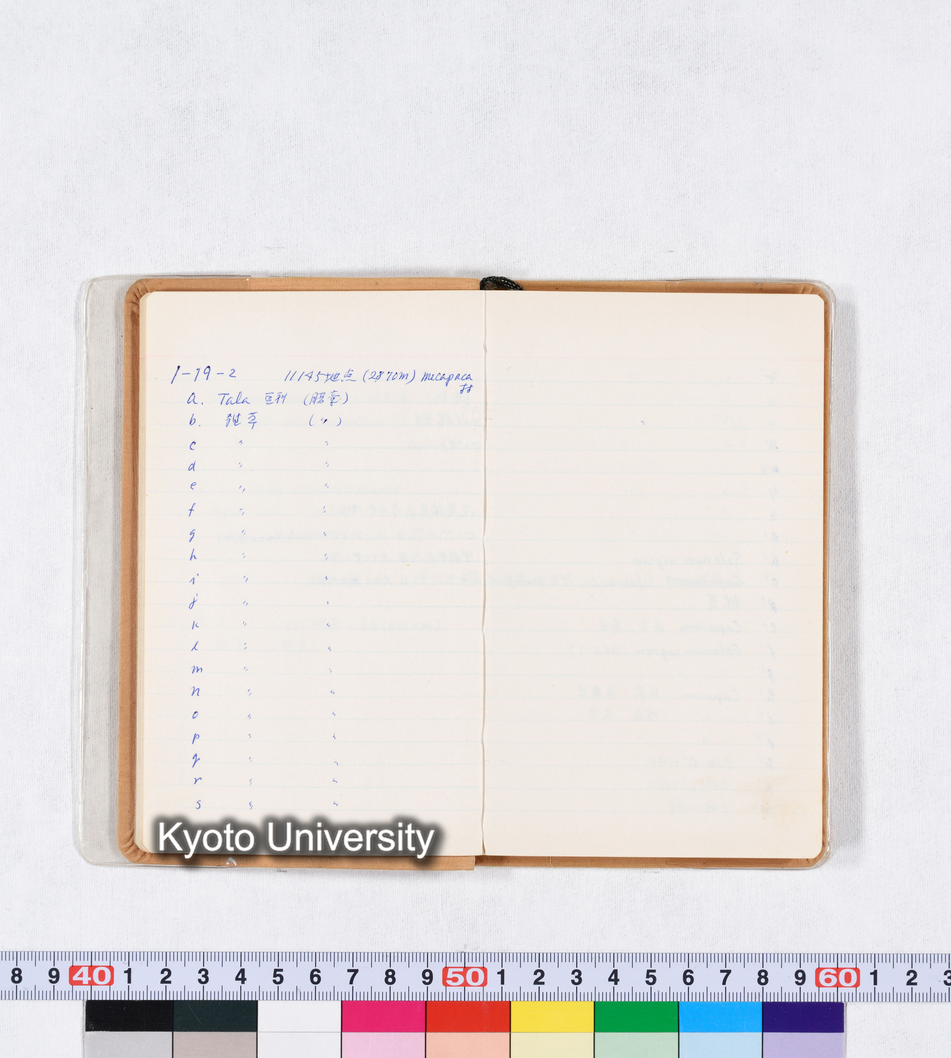 採集記録 Collection Records ECPA 1971 (8)