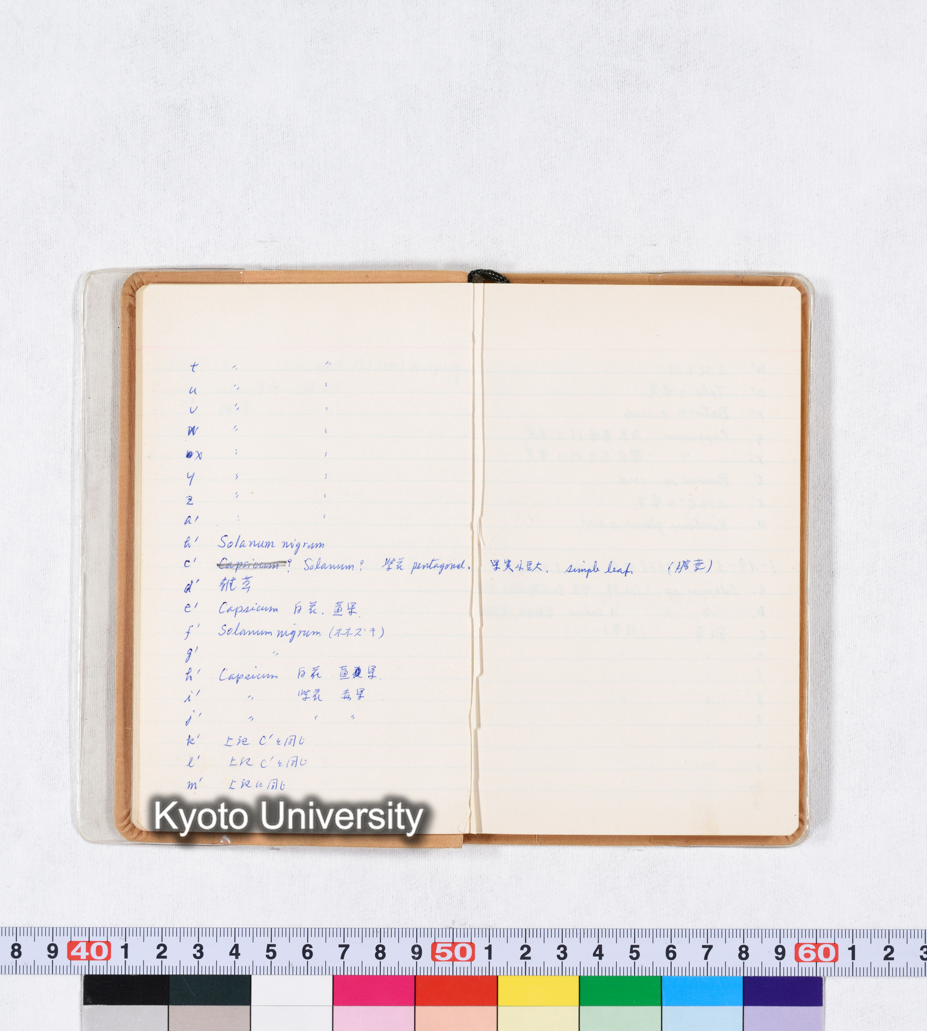 採集記録 Collection Records ECPA 1971 (9)