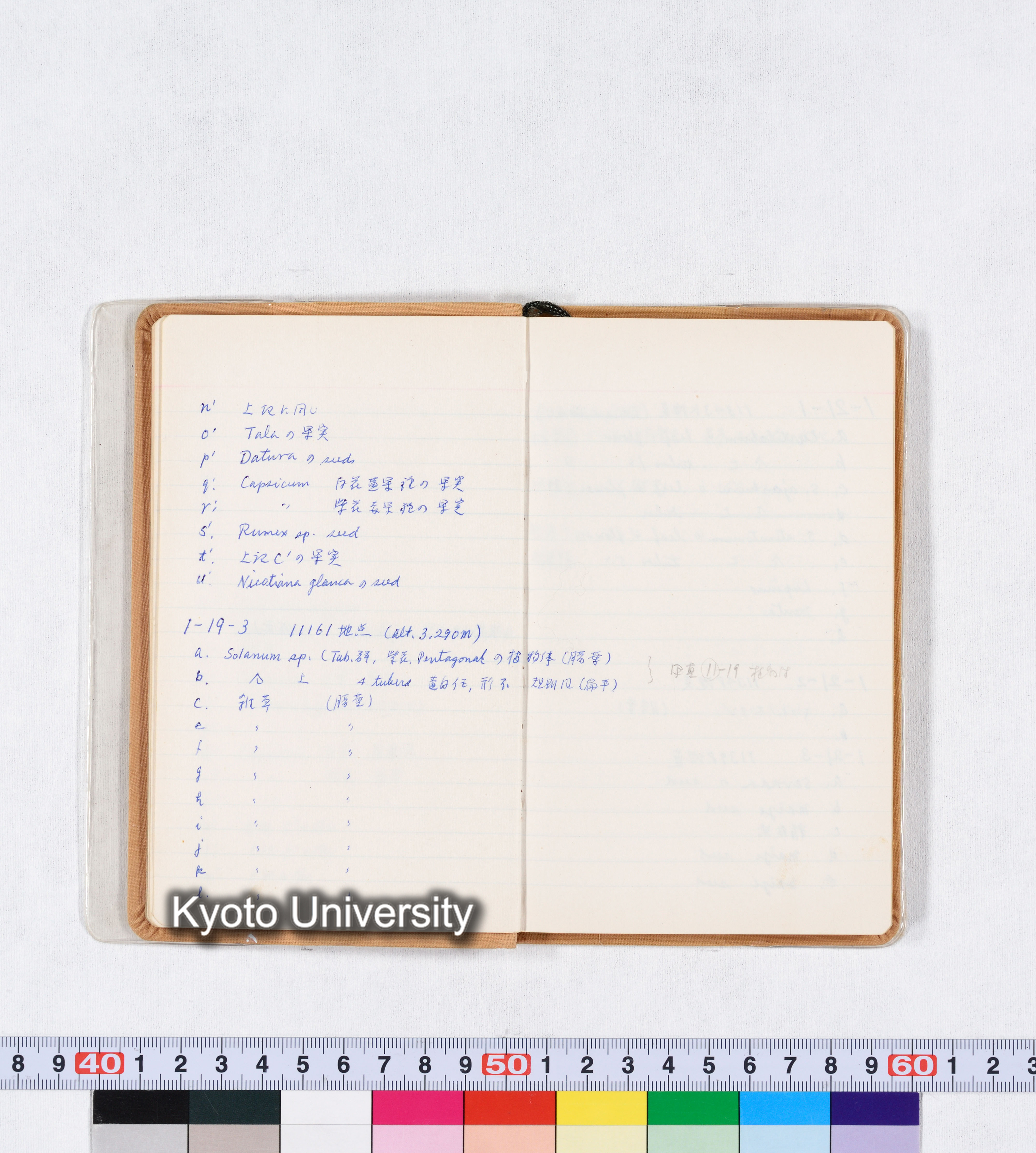 採集記録 Collection Records ECPA 1971 (10)