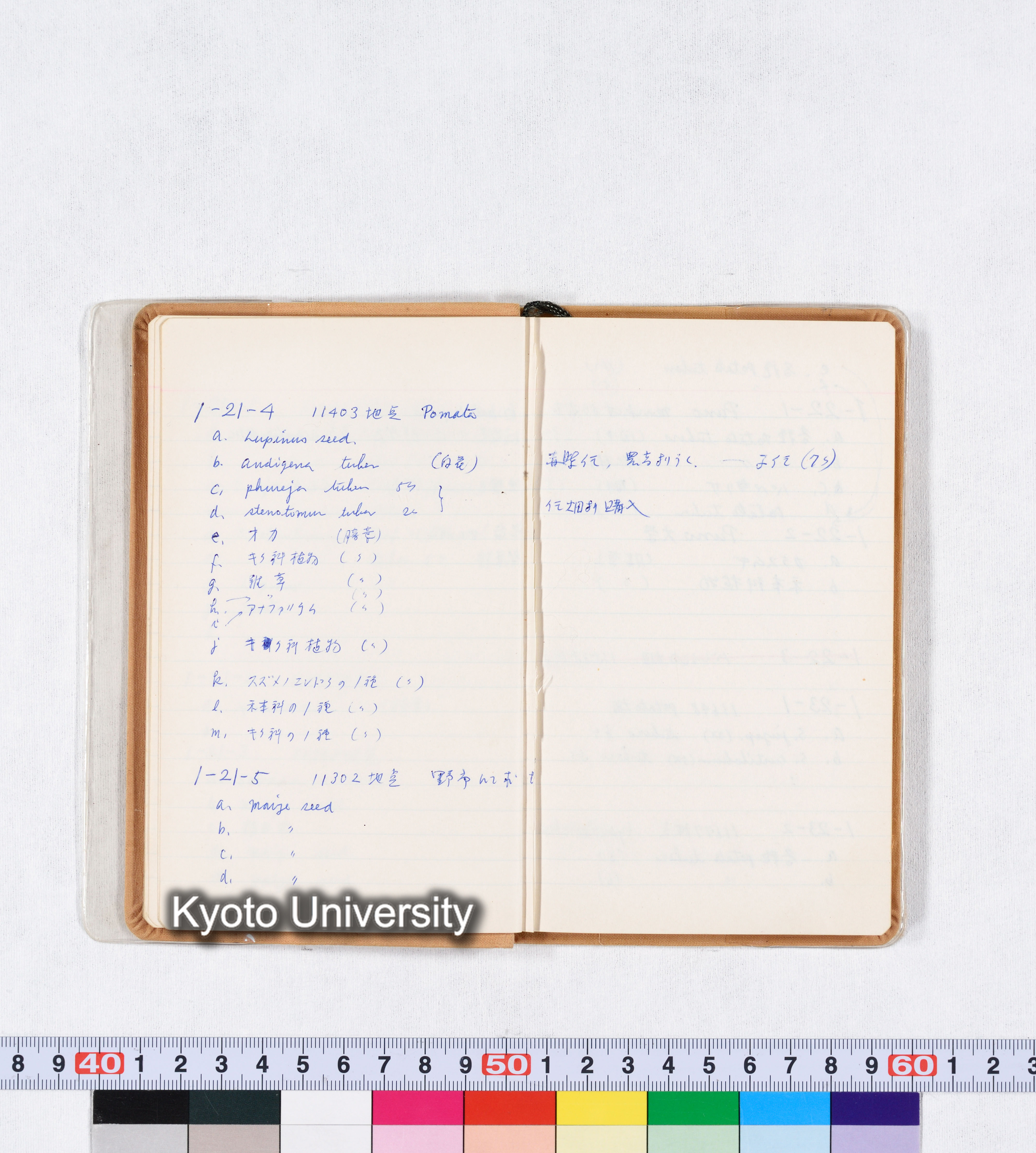 採集記録 Collection Records ECPA 1971 (12)