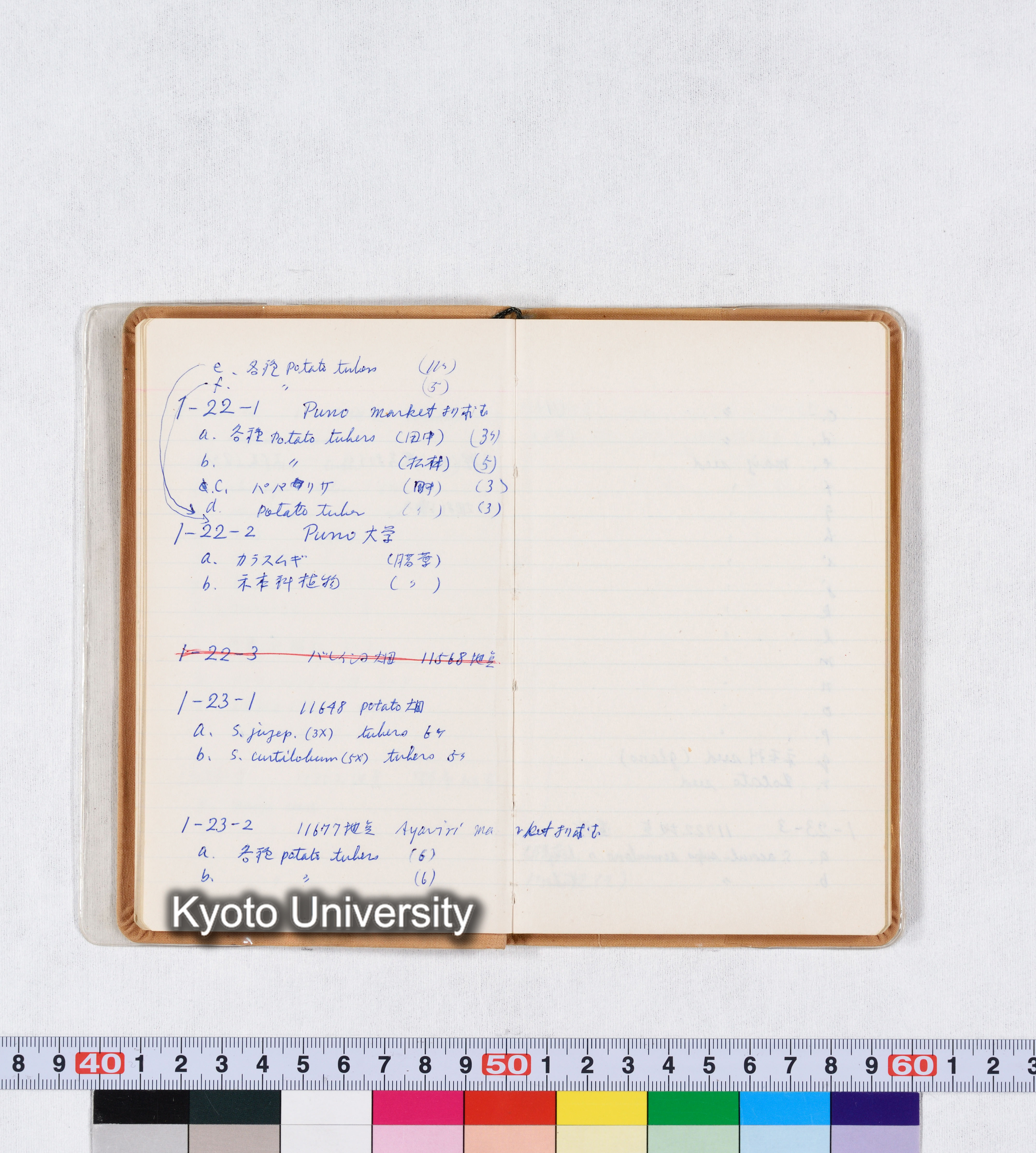 採集記録 Collection Records ECPA 1971 (13)