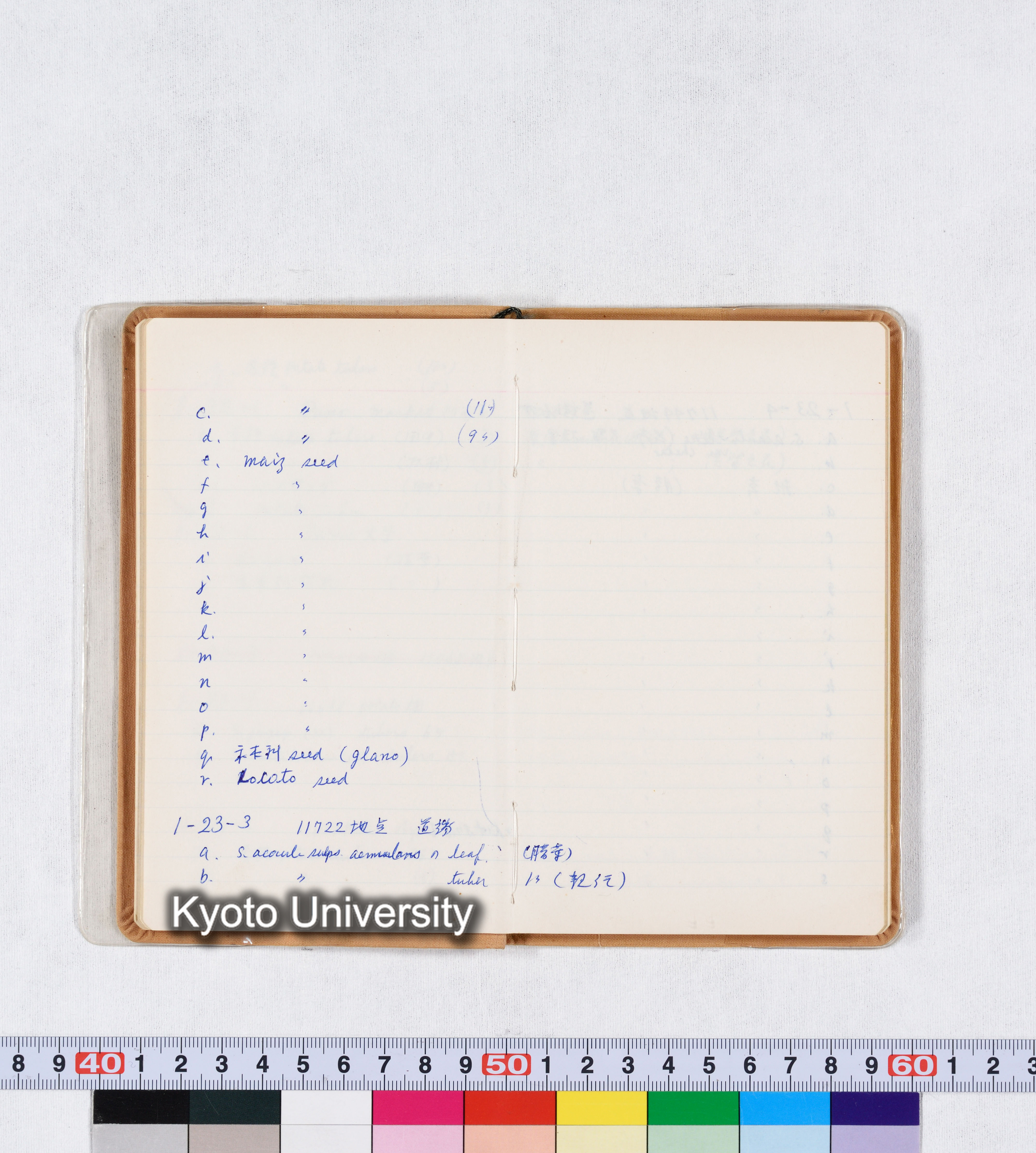 採集記録 Collection Records ECPA 1971 (14)