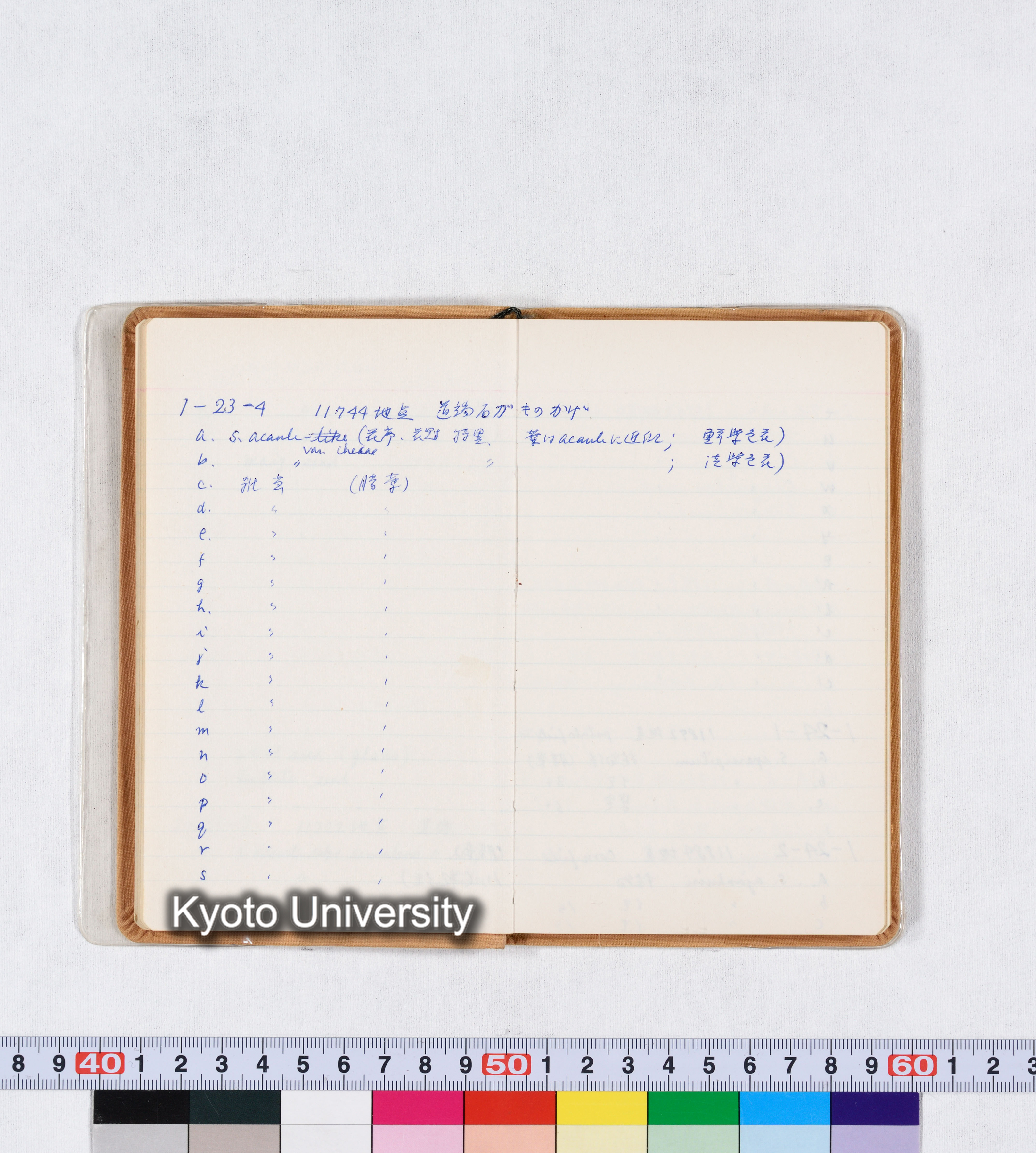 採集記録 Collection Records ECPA 1971 (16)