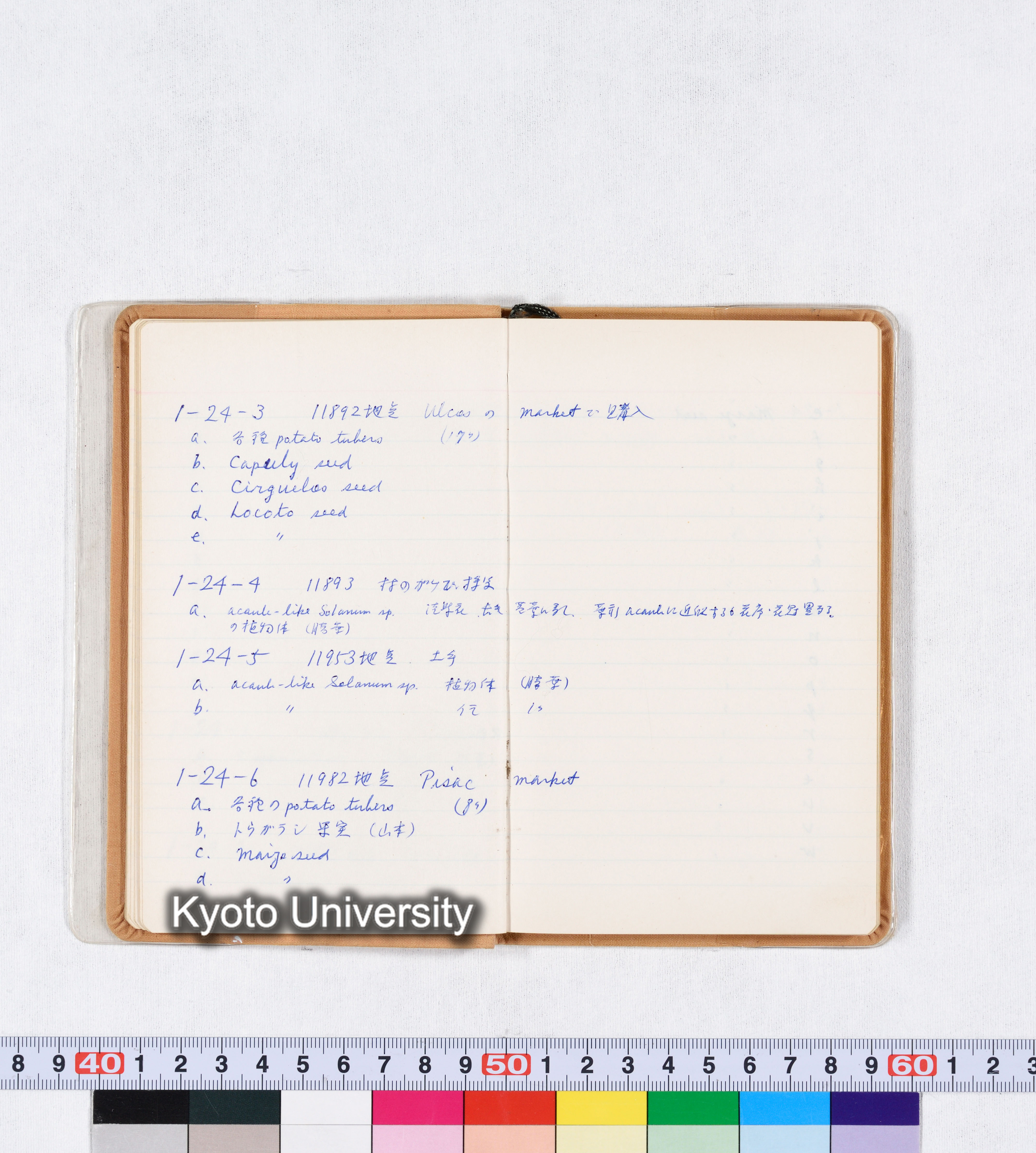 採集記録 Collection Records ECPA 1971 (17)