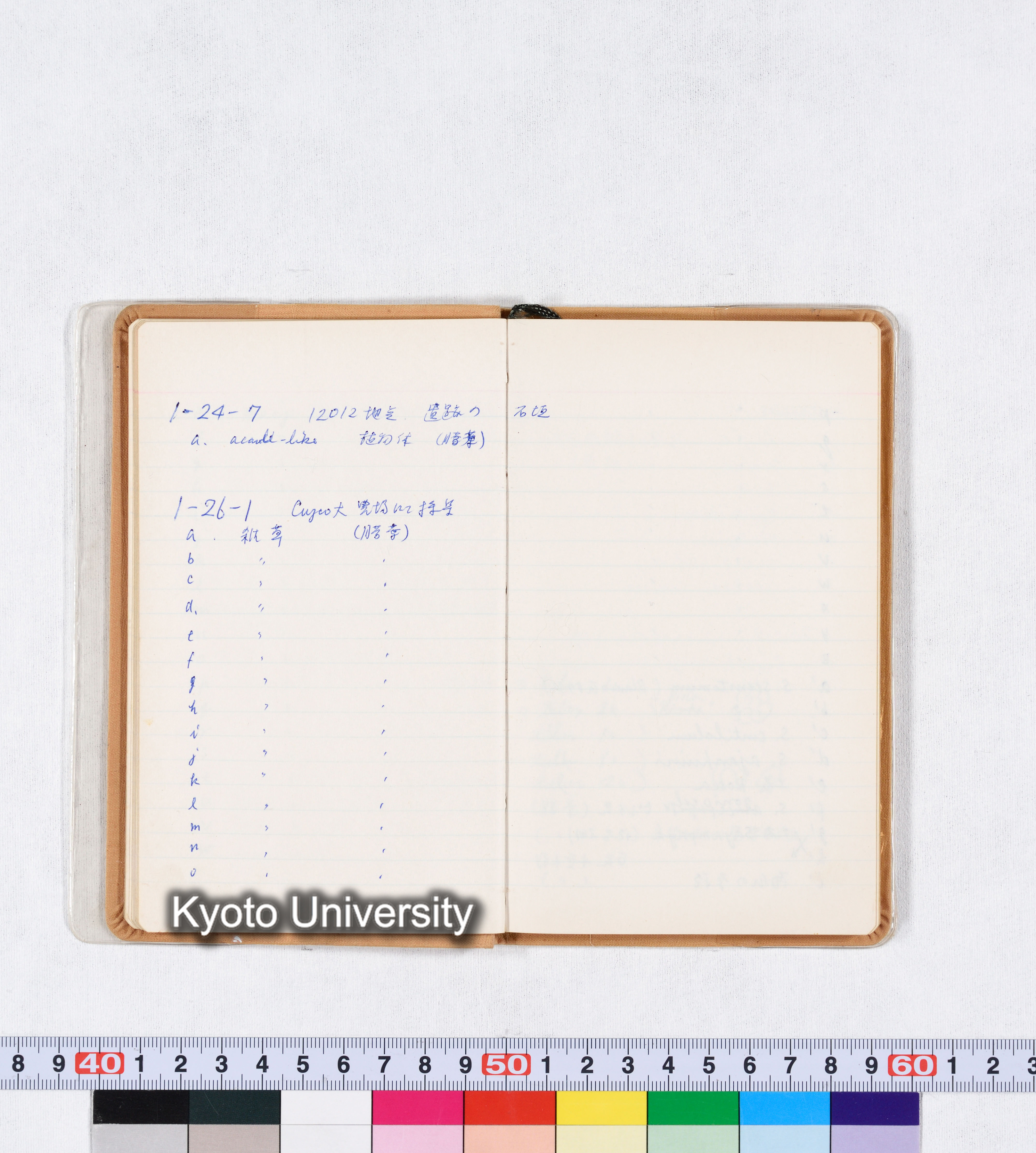 採集記録 Collection Records ECPA 1971 (19)