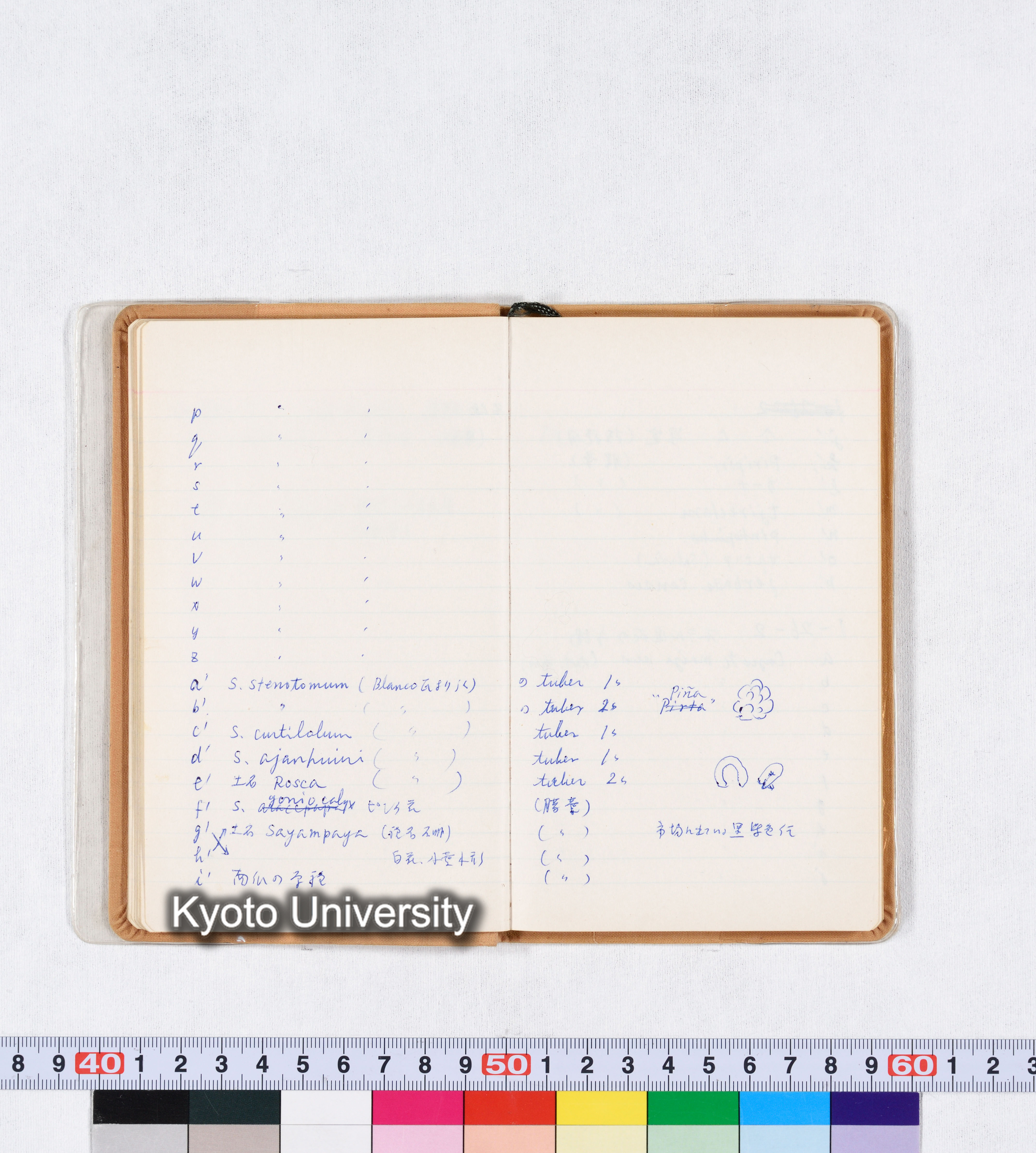 採集記録 Collection Records ECPA 1971 (20)