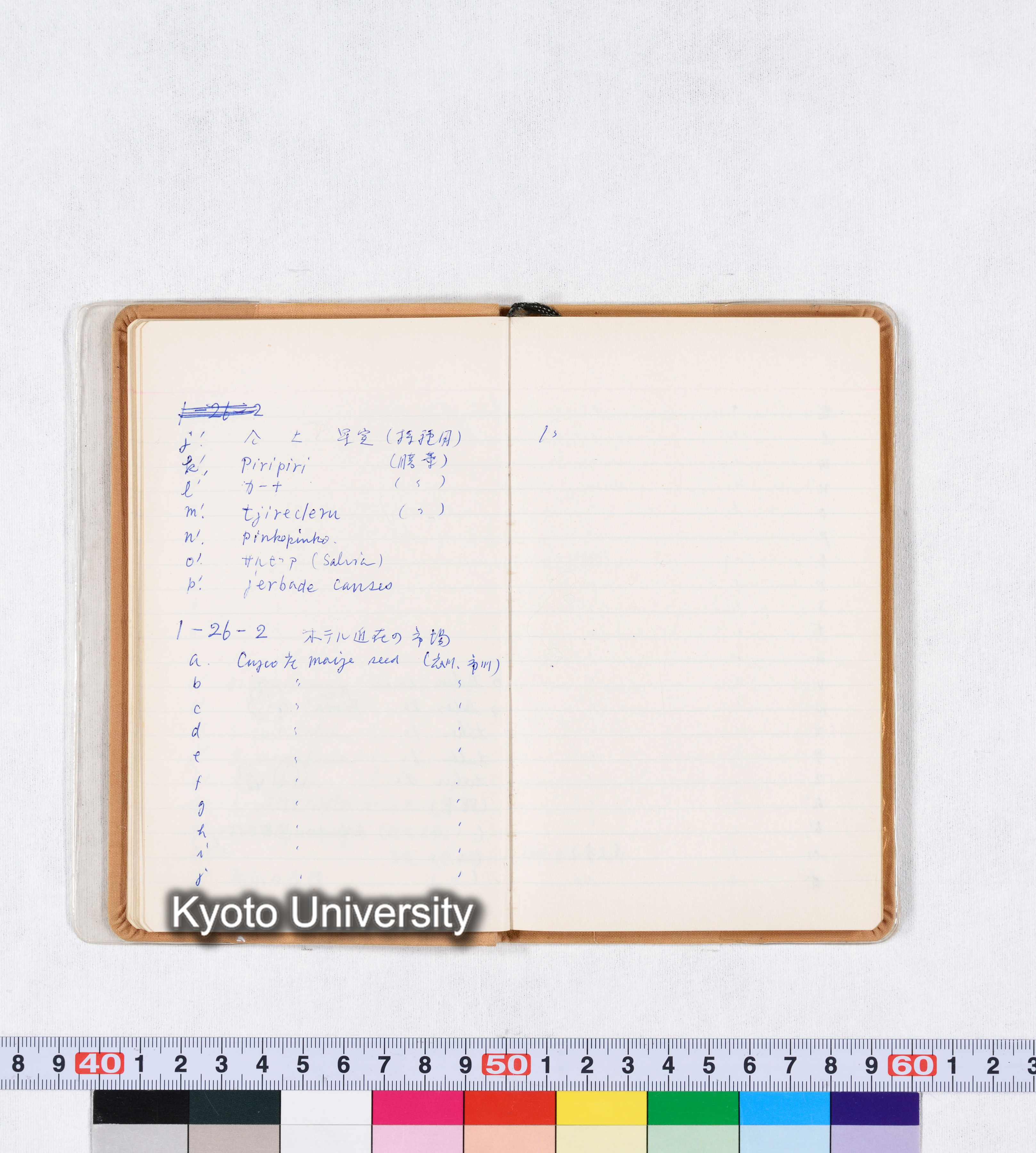 採集記録 Collection Records ECPA 1971 (21)