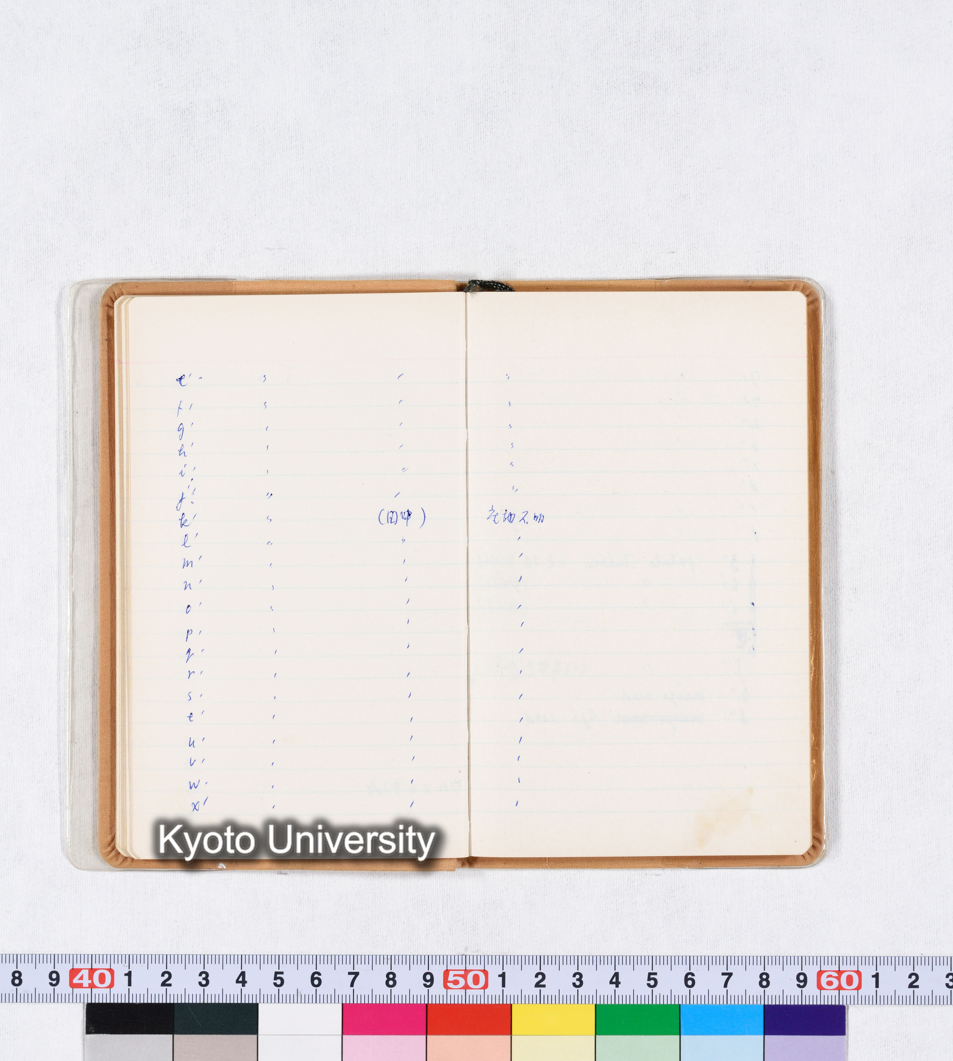 採集記録 Collection Records ECPA 1971 (23)