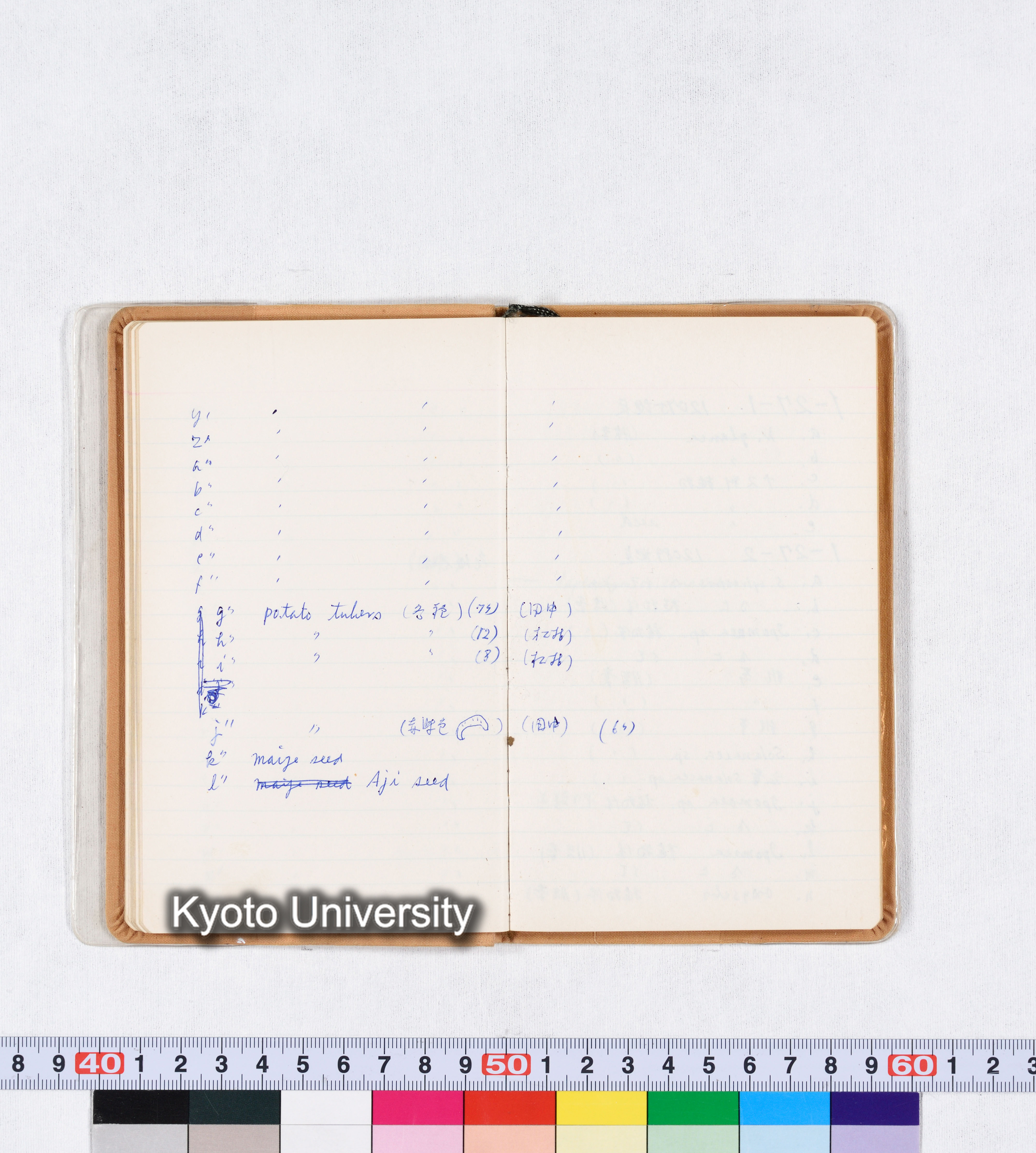 採集記録 Collection Records ECPA 1971 (24)