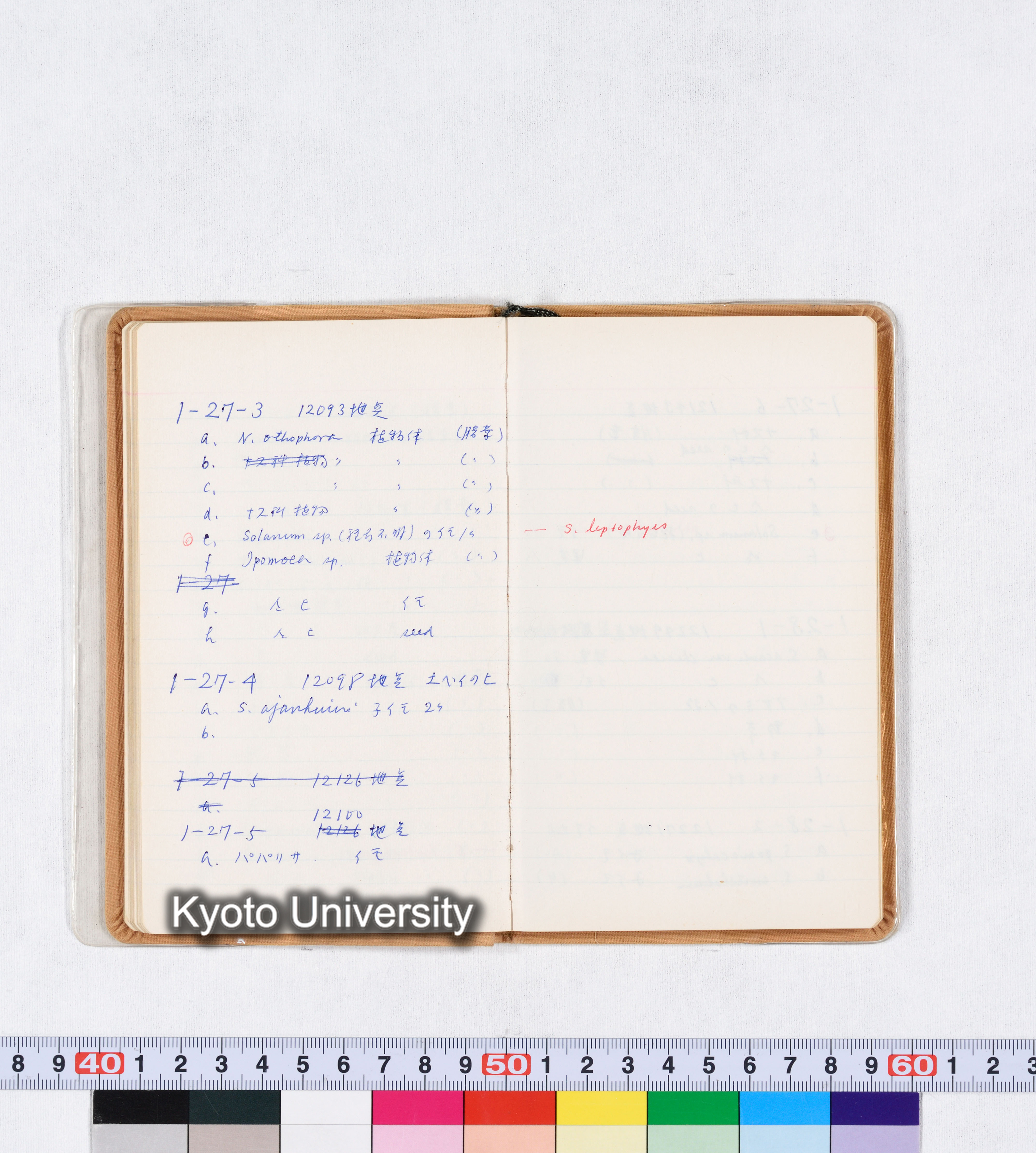 採集記録 Collection Records ECPA 1971 (27)