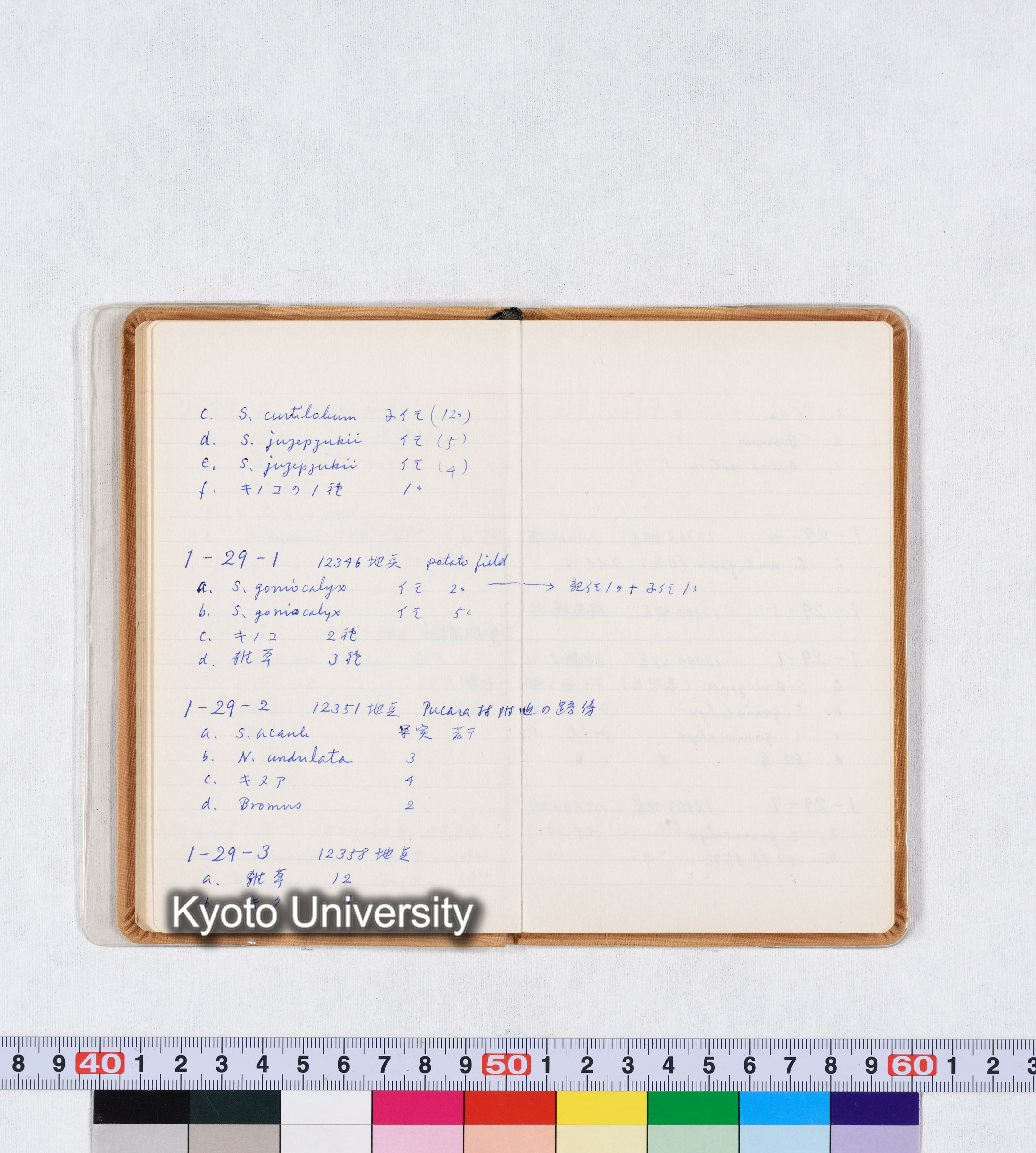 採集記録 Collection Records ECPA 1971 (29)