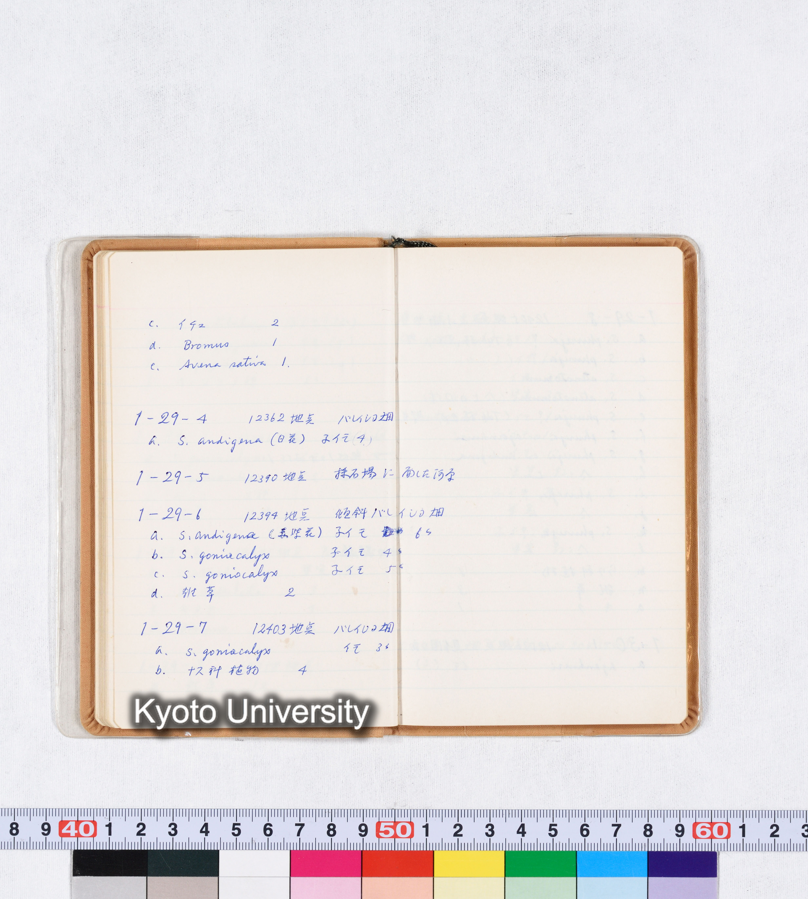 採集記録 Collection Records ECPA 1971 (30)