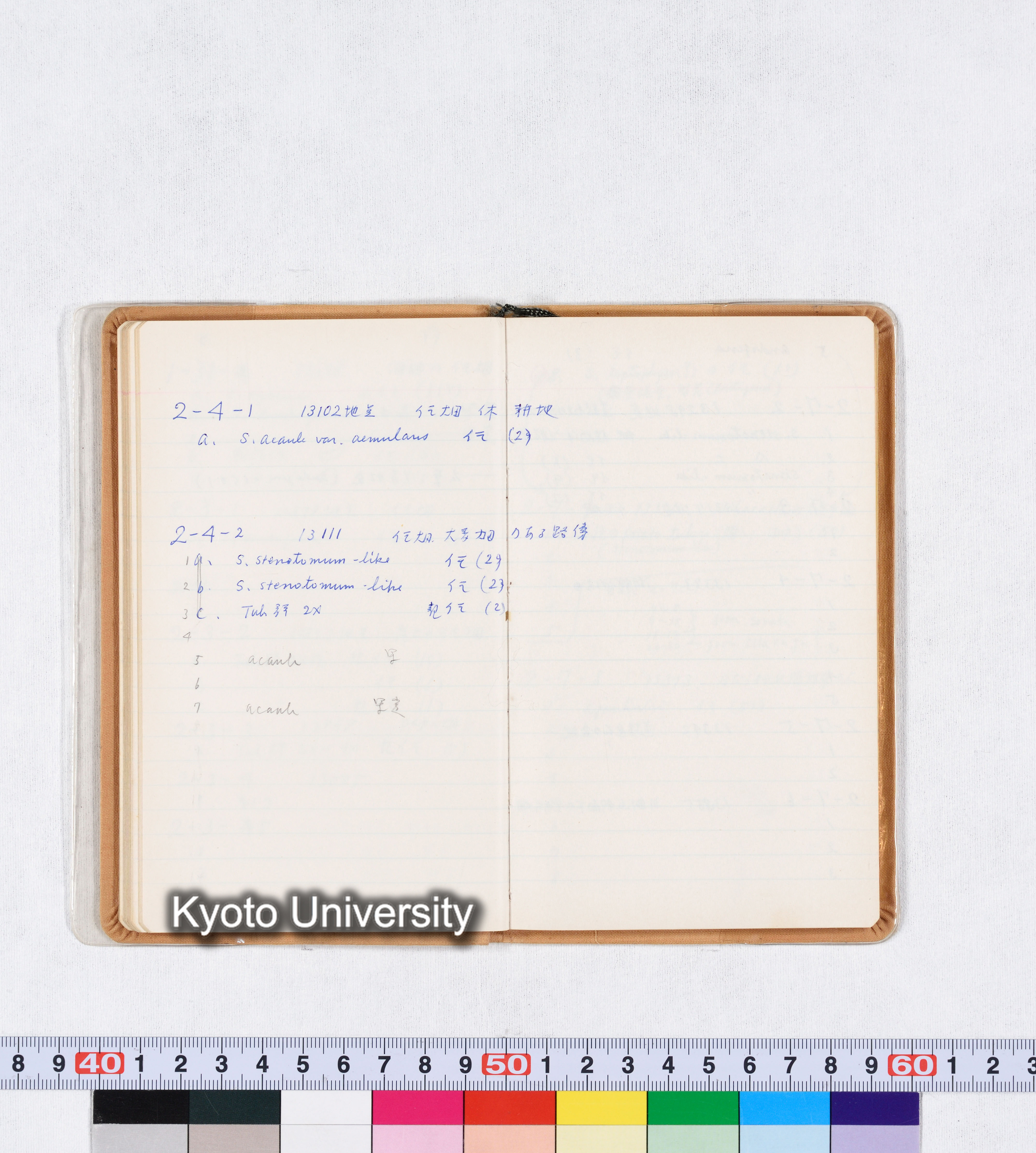 採集記録 Collection Records ECPA 1971 (34)