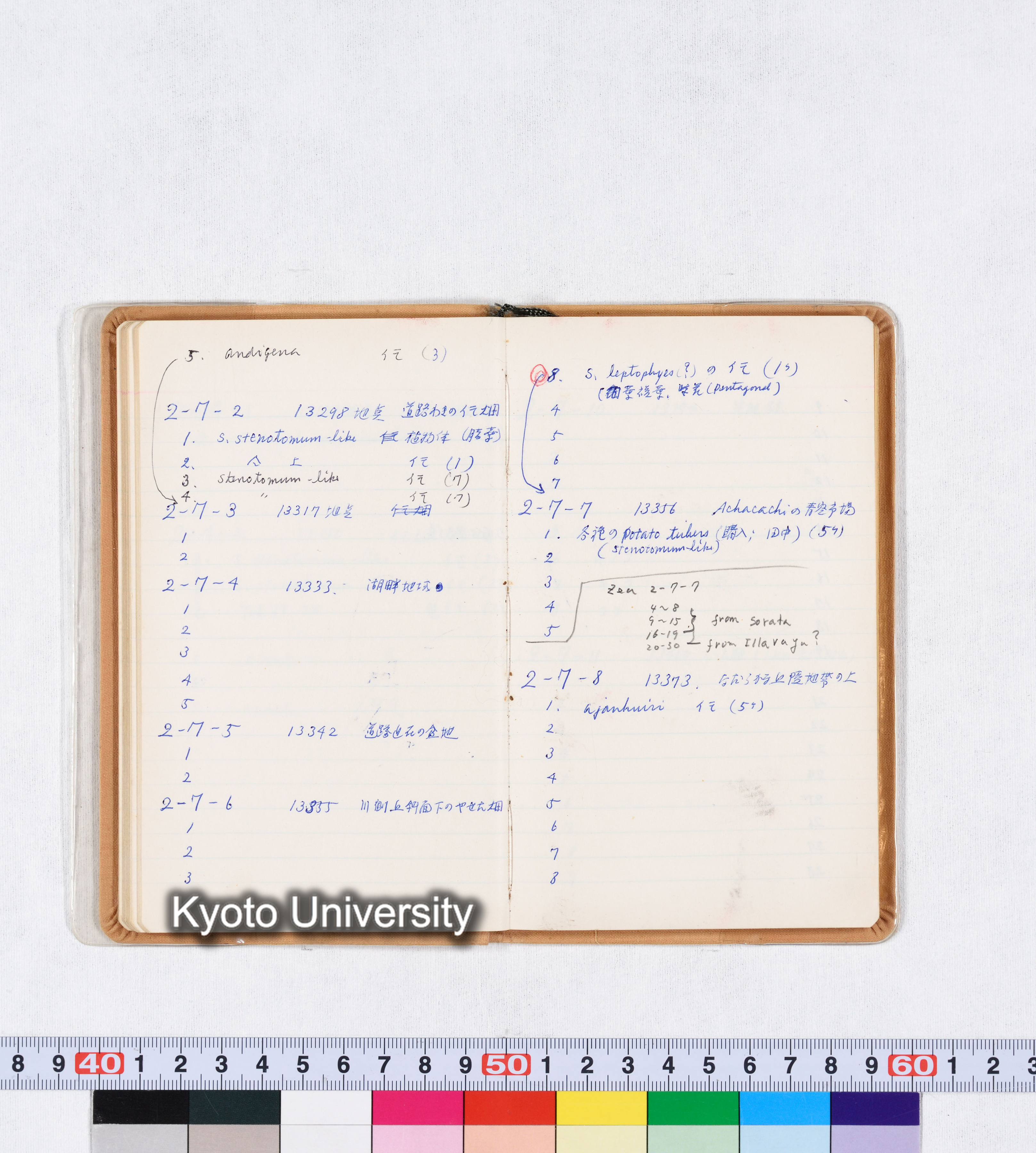 採集記録 Collection Records ECPA 1971 (35)