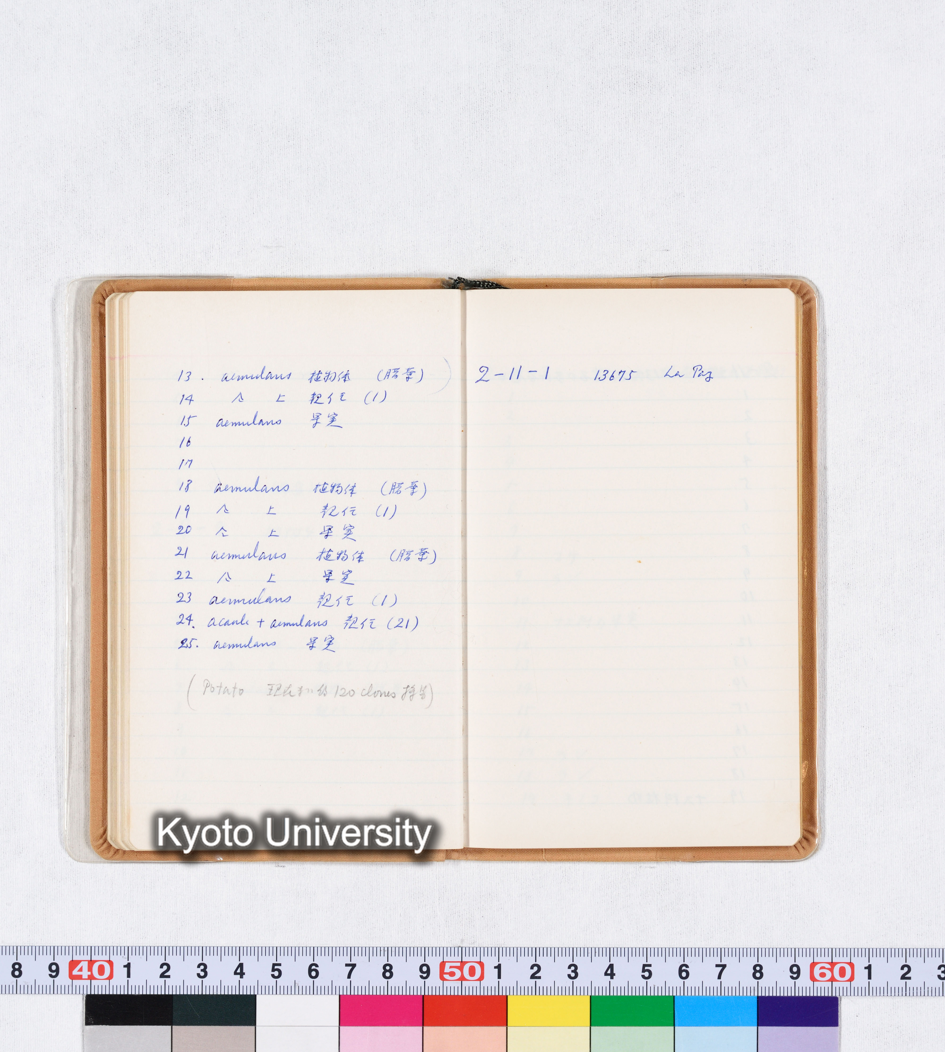 採集記録 Collection Records ECPA 1971 (40)