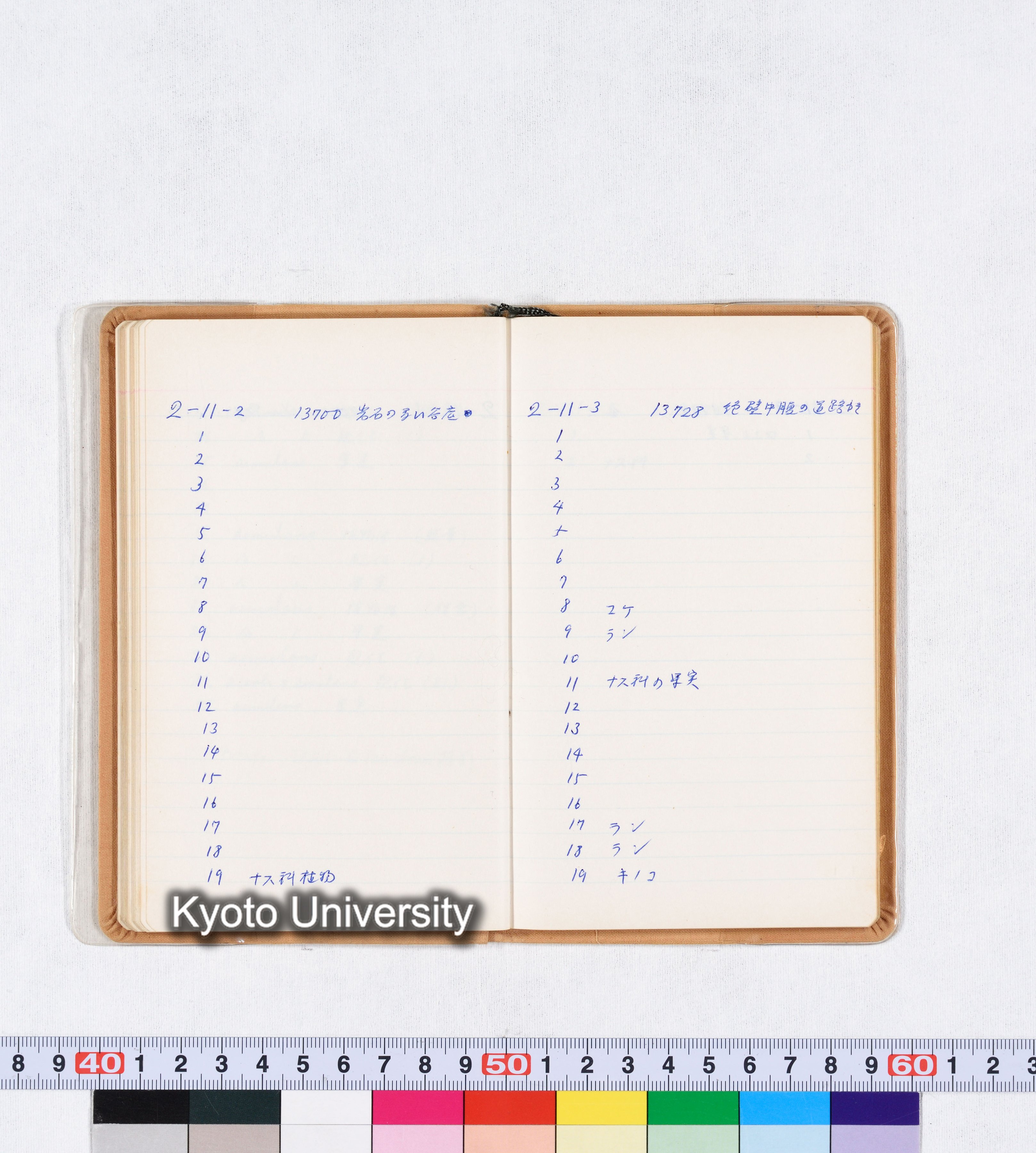 採集記録 Collection Records ECPA 1971 (41)