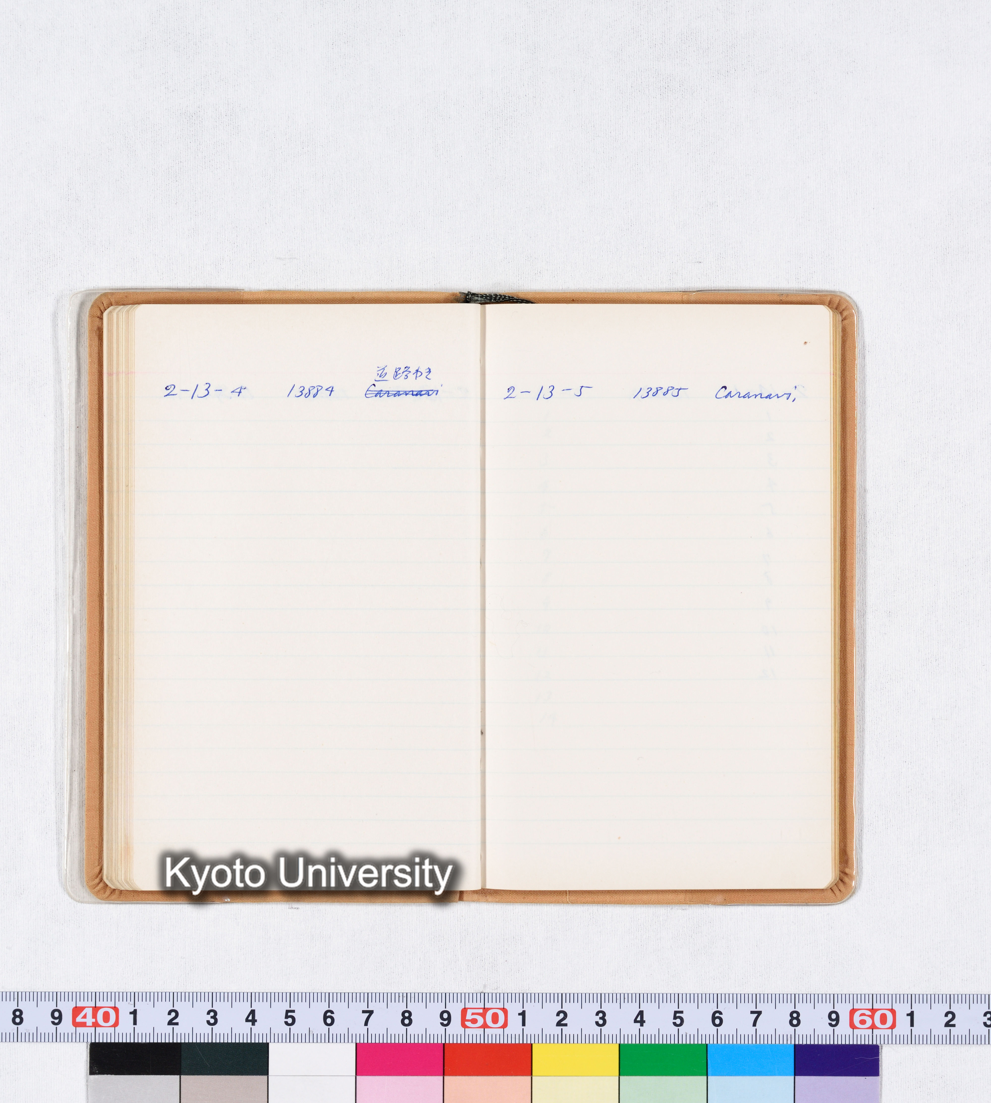 採集記録 Collection Records ECPA 1971 (52)