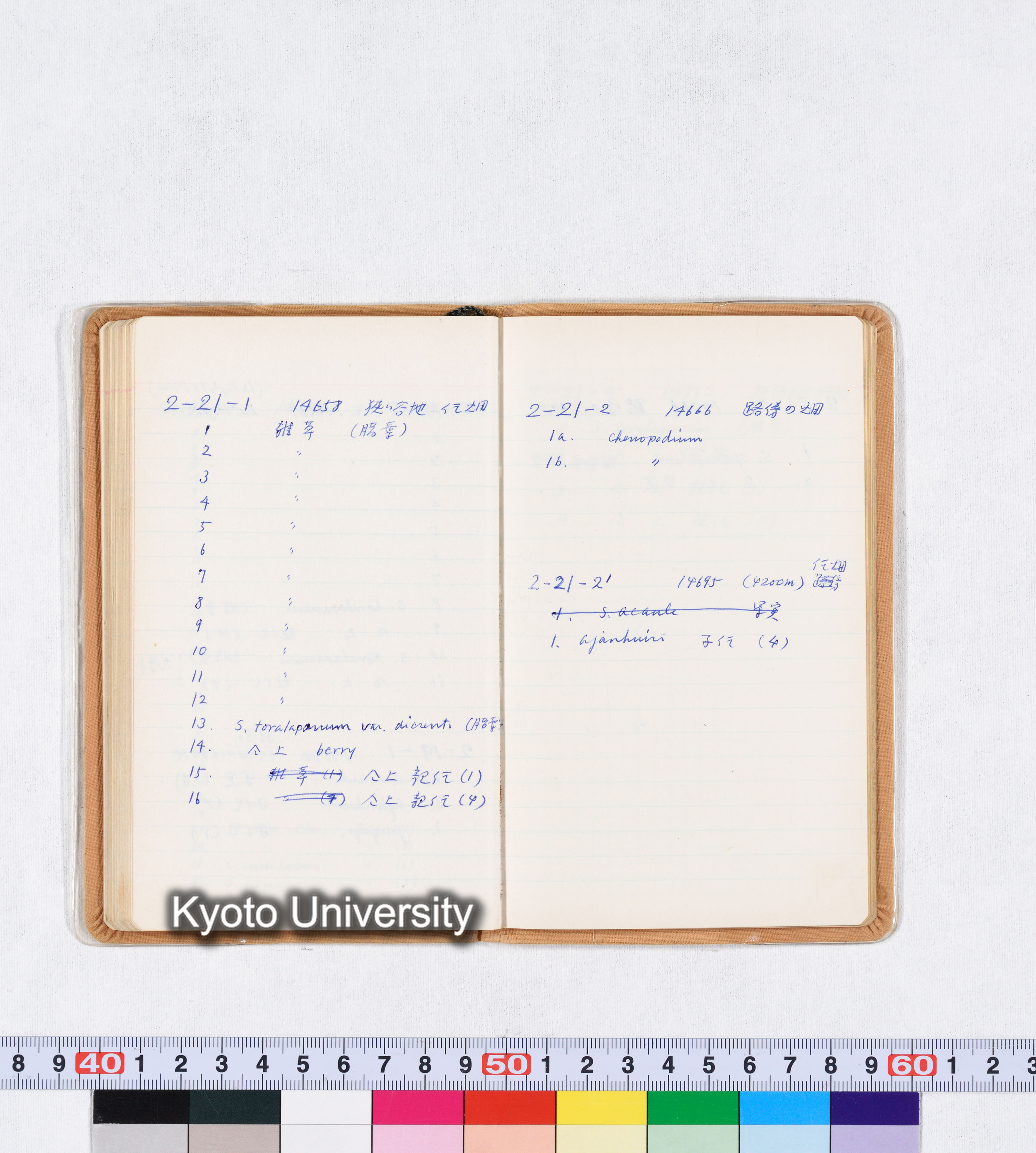 採集記録 Collection Records ECPA 1971 (64)