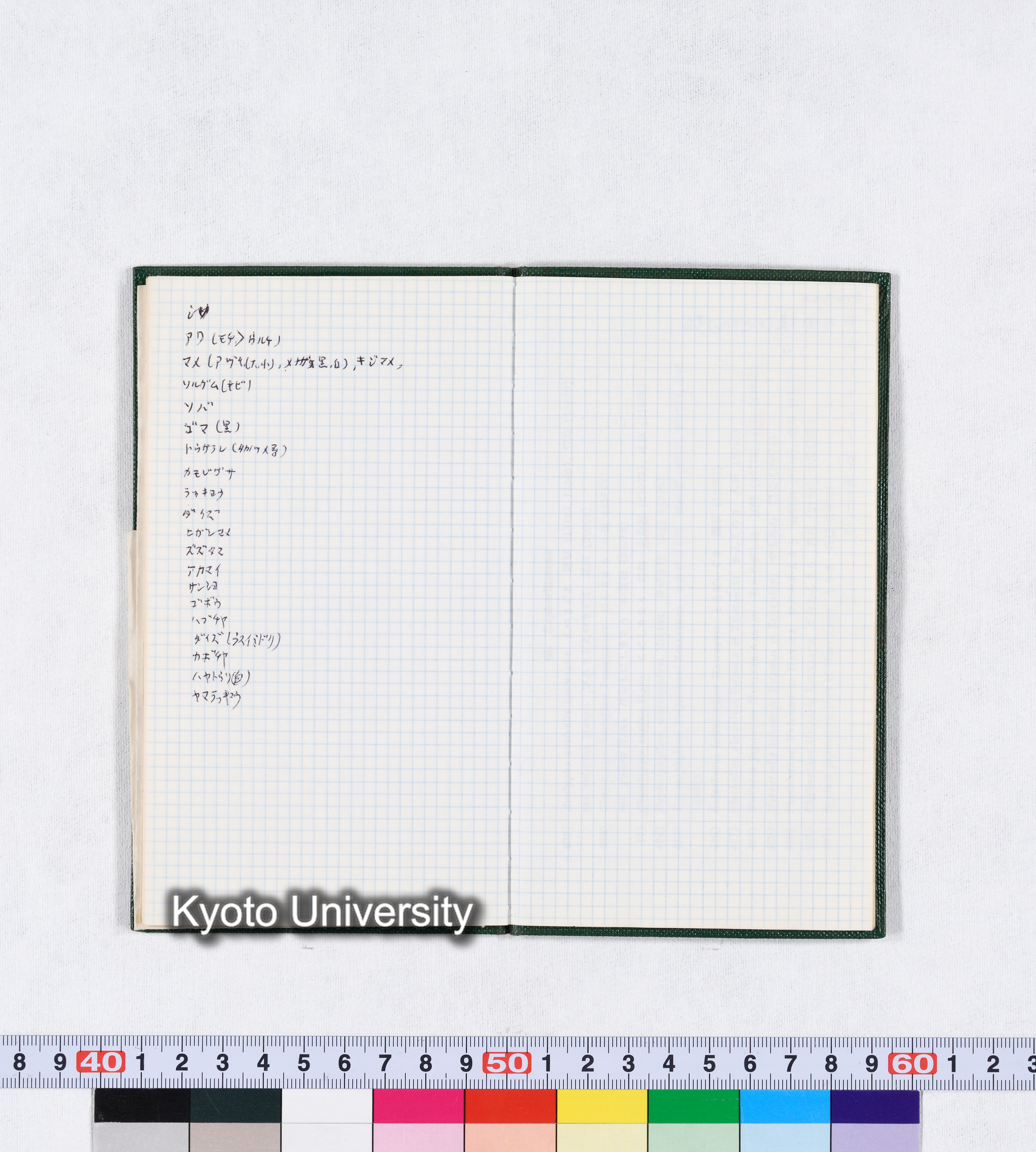 対馬調査 11月1日～4日 1980 (7)