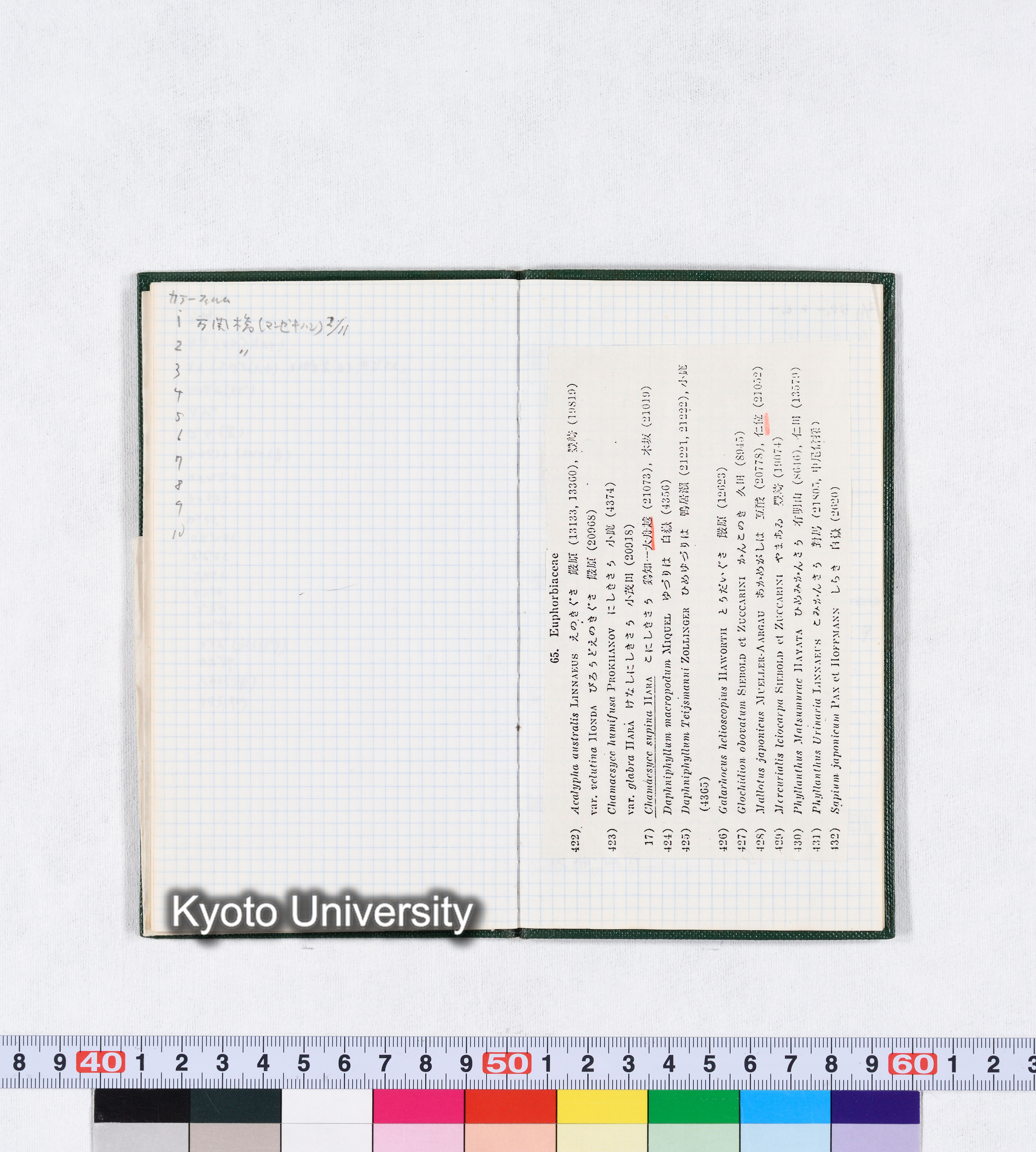 対馬調査 11月1日～4日 1980 (9)