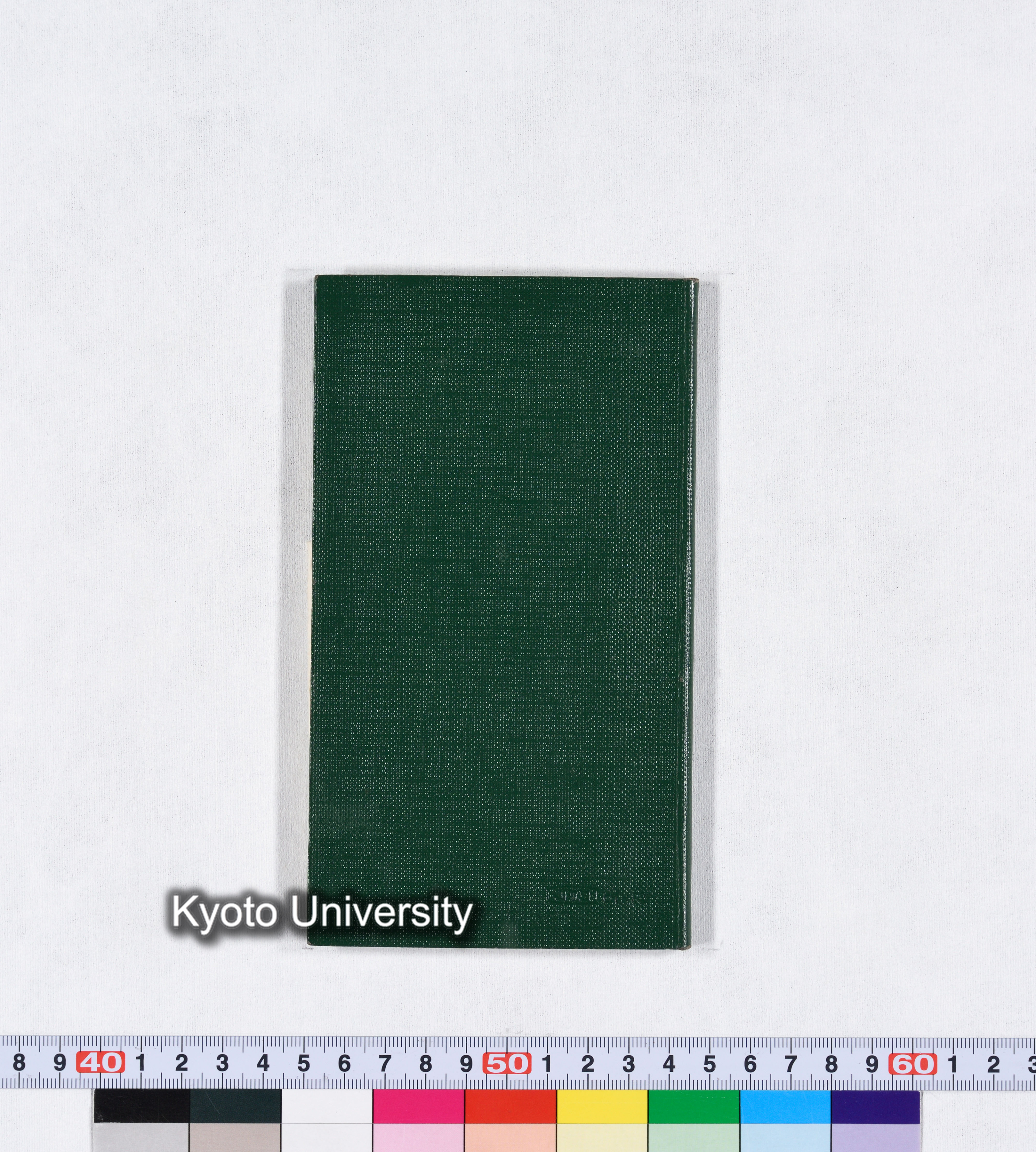対馬調査 11月1日～4日 1980 (10)