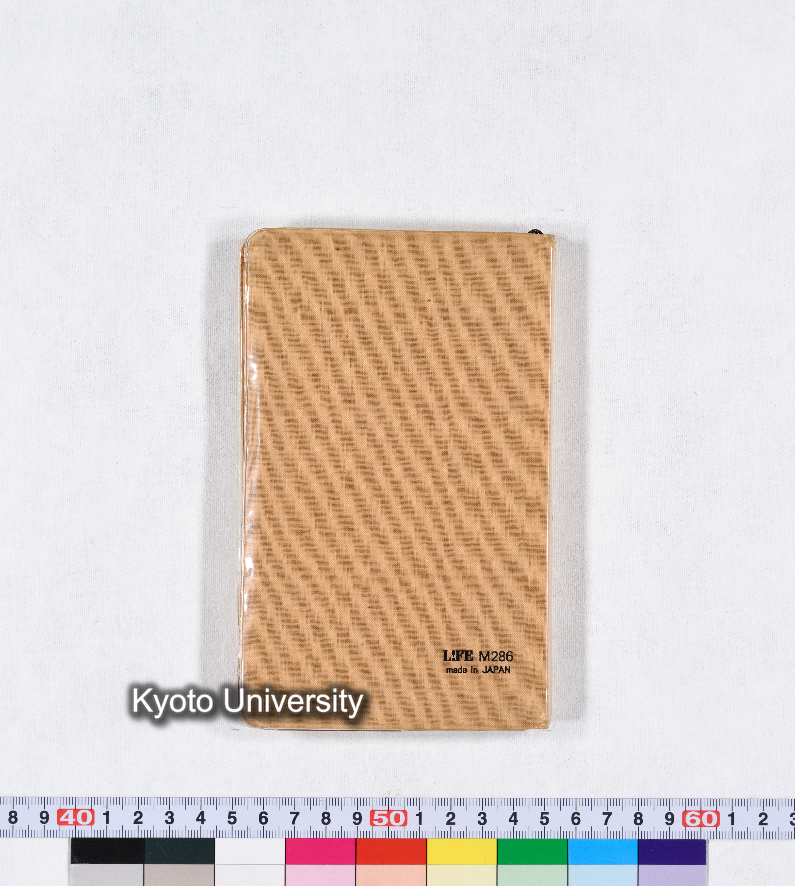 No.1 (EMG) 第4次 1981/1982 (31)