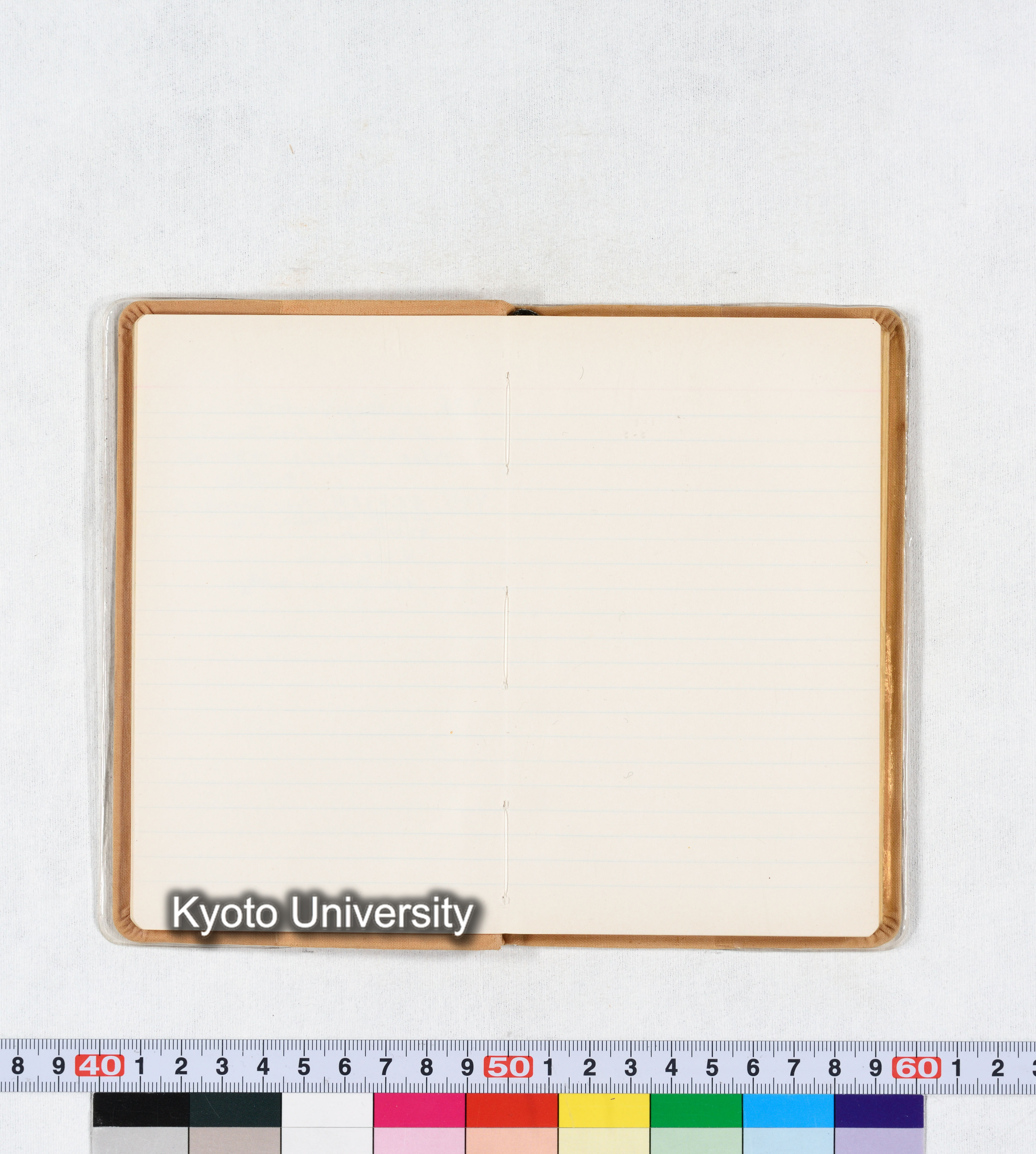 ［トウモロコシ］ (7)